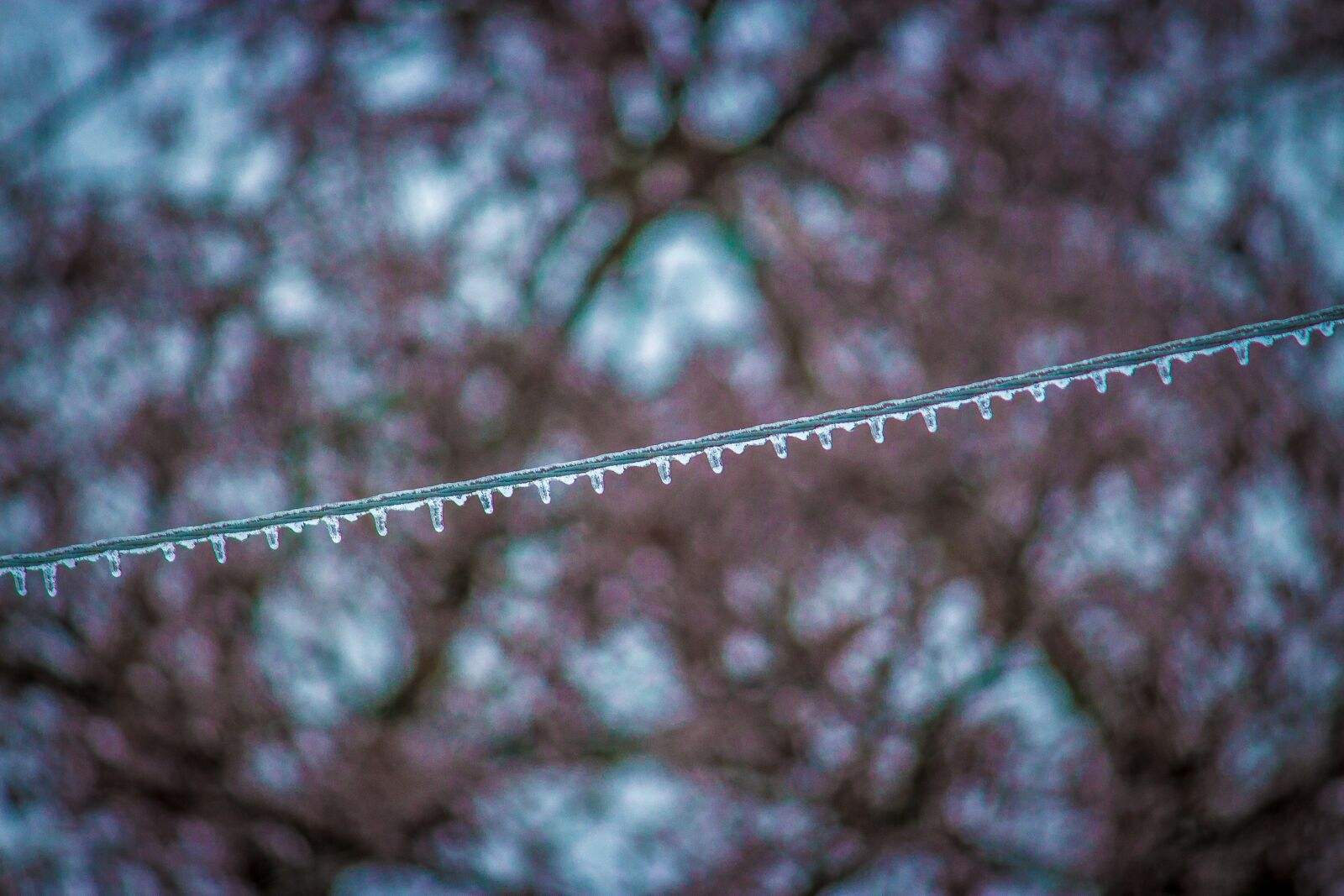 Canon EOS 700D (EOS Rebel T5i / EOS Kiss X7i) sample photo. Ice, wire, winter photography