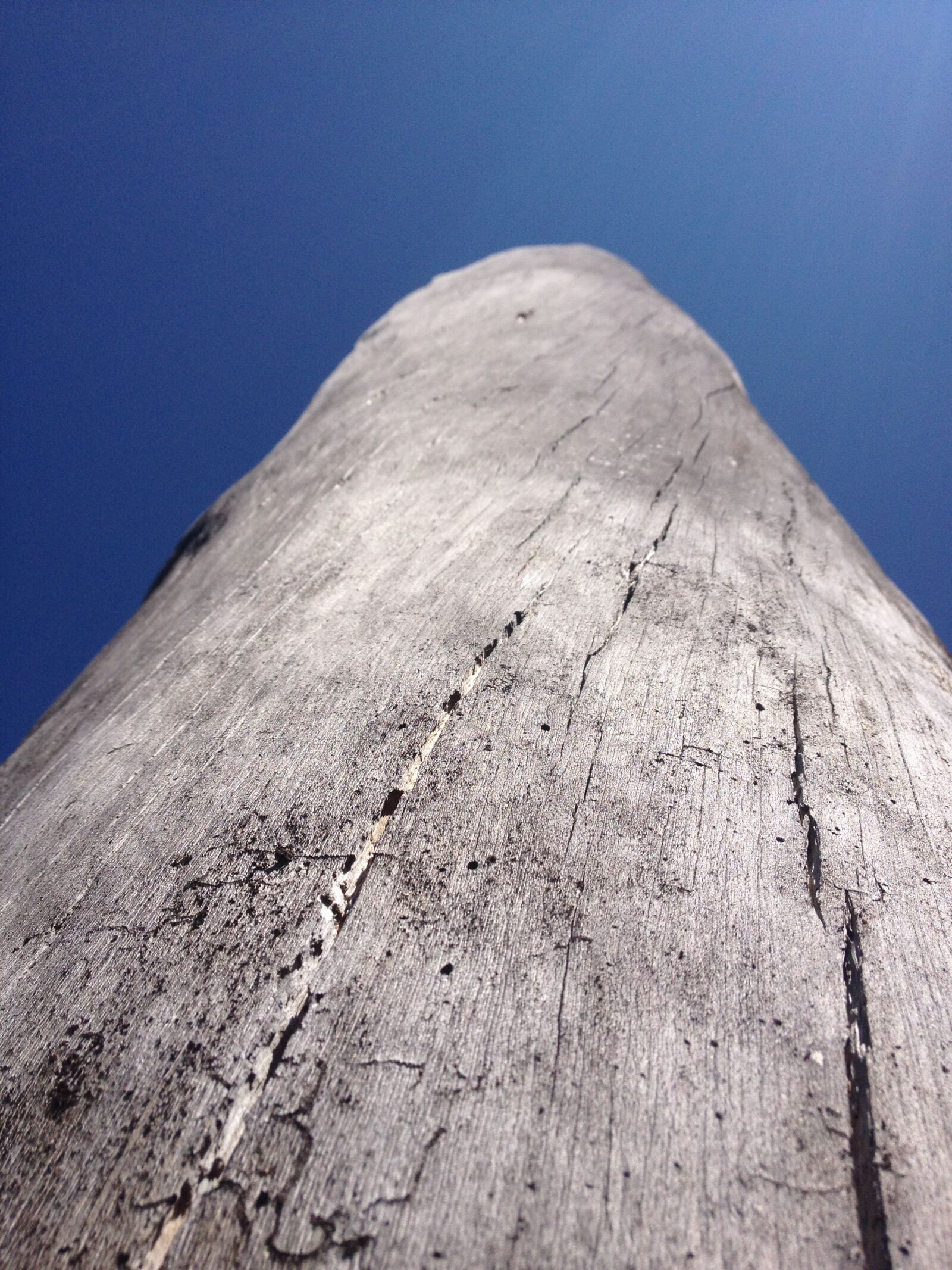 Apple iPhone 4S sample photo. Wood, old, tree photography