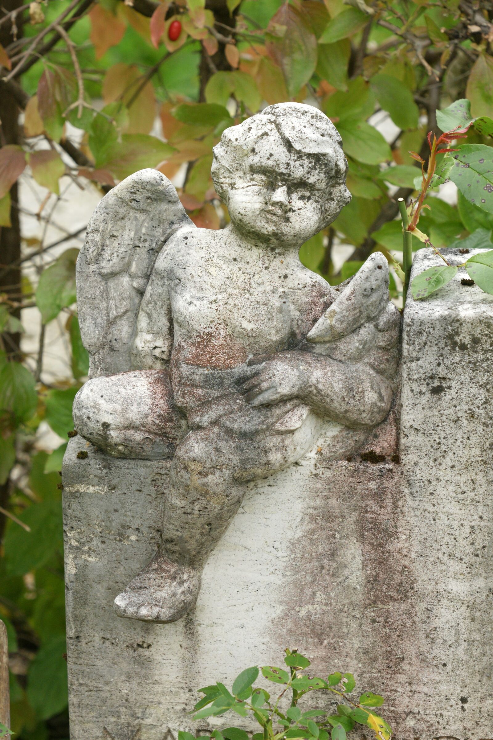 Sony Alpha DSLR-A700 sample photo. Angel, figure, sculpture photography