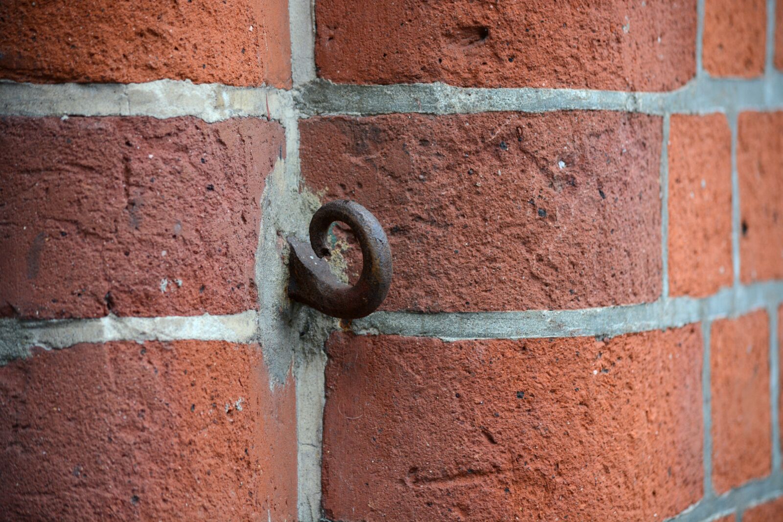 Nikon D7100 sample photo. Architecture, wall, hook photography