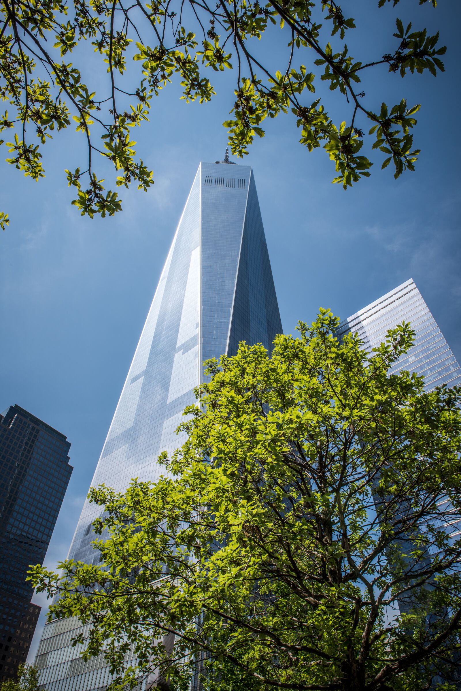 Nikon D750 sample photo. Usa, new york, new photography