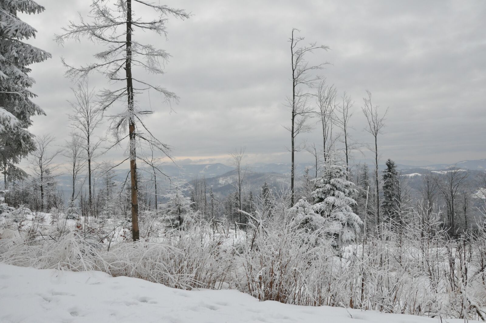 Nikon D90 sample photo. Winter, snow, mountains photography