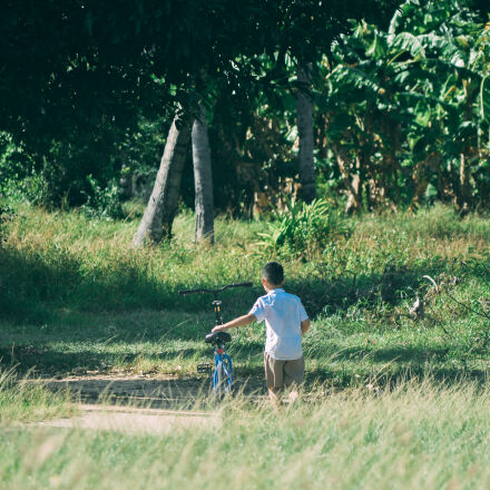 AF Nikkor 70-210mm f/4-5.6 sample photos - ExploreCams