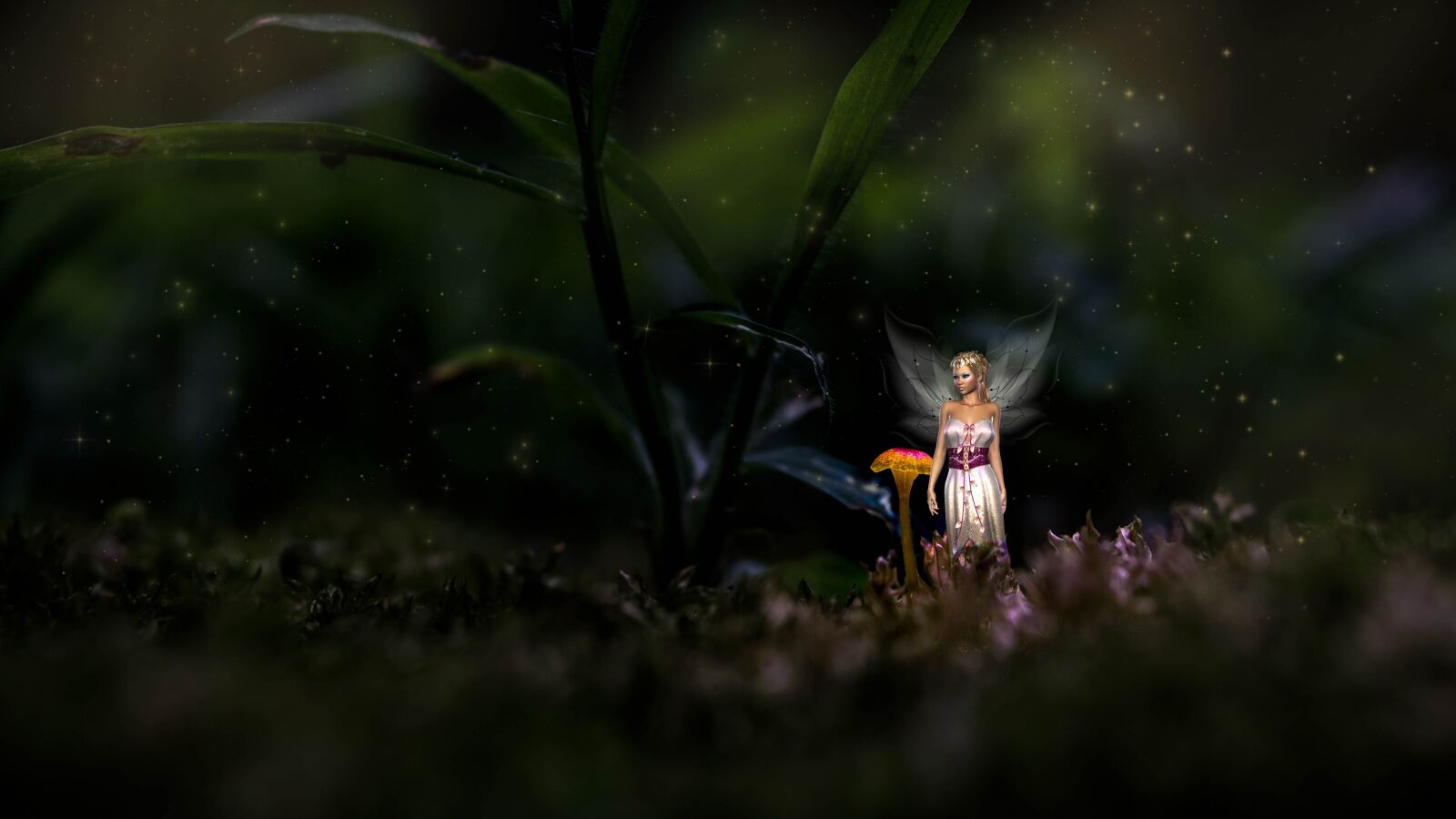Sony a6000 sample photo. Fantasy, fee, forest photography