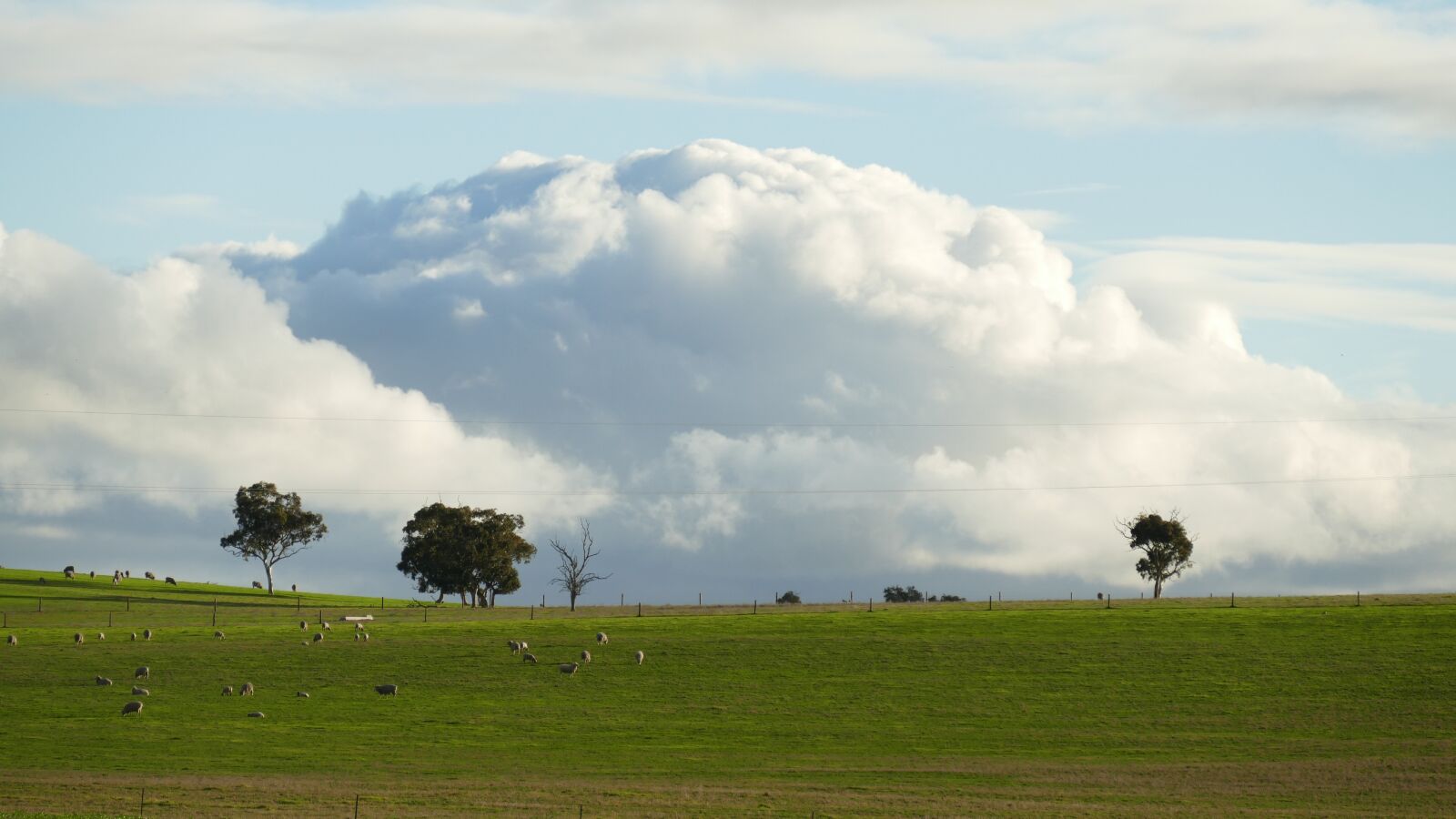 Panasonic Lumix DMC-FZ1000 sample photo. Bulking, clouds, farmland photography