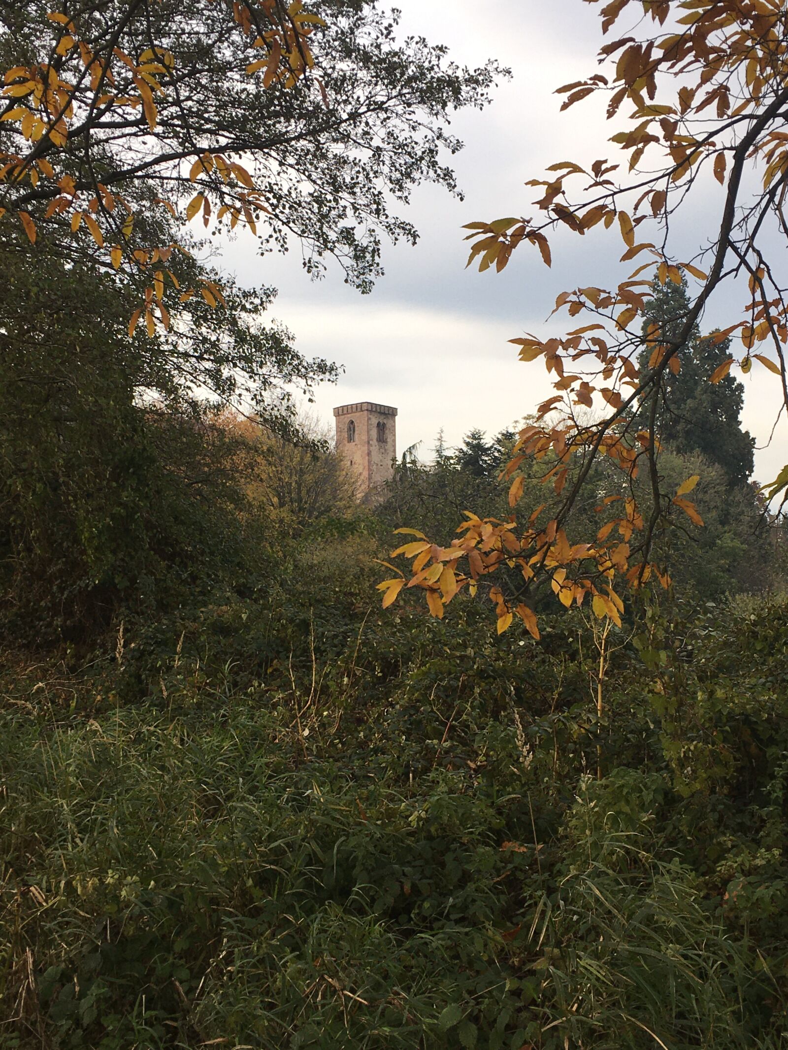 iPhone SE back camera 4.15mm f/2.2 sample photo. Castel, forest, nature photography