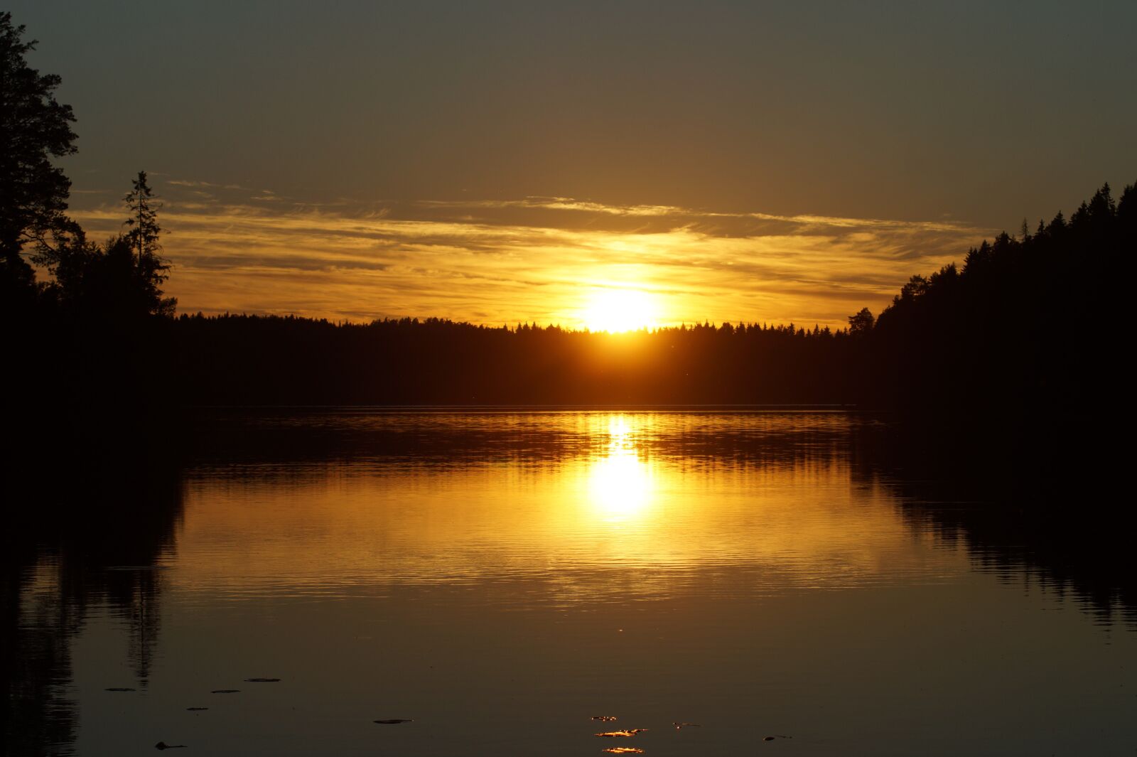 Sony SLT-A58 sample photo. Sunset, summer, lake photography
