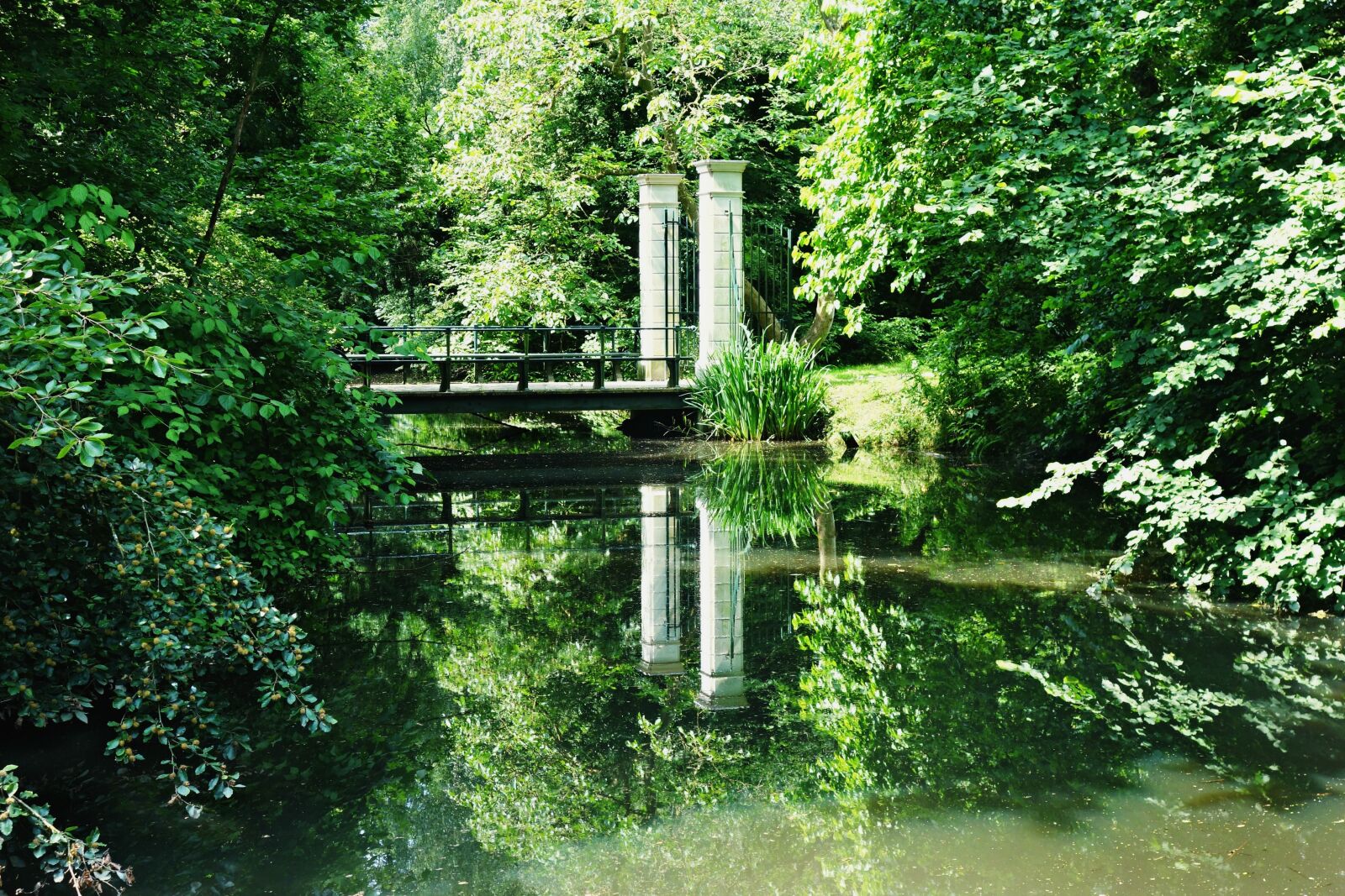Sony Cyber-shot DSC-RX100 sample photo. Pond, park, bridge photography