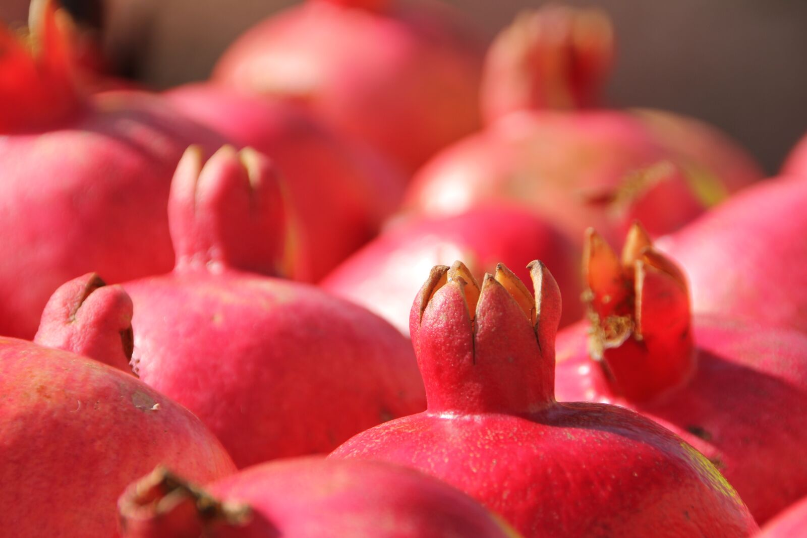 Canon EOS 60D sample photo. Food, fruit, apple photography