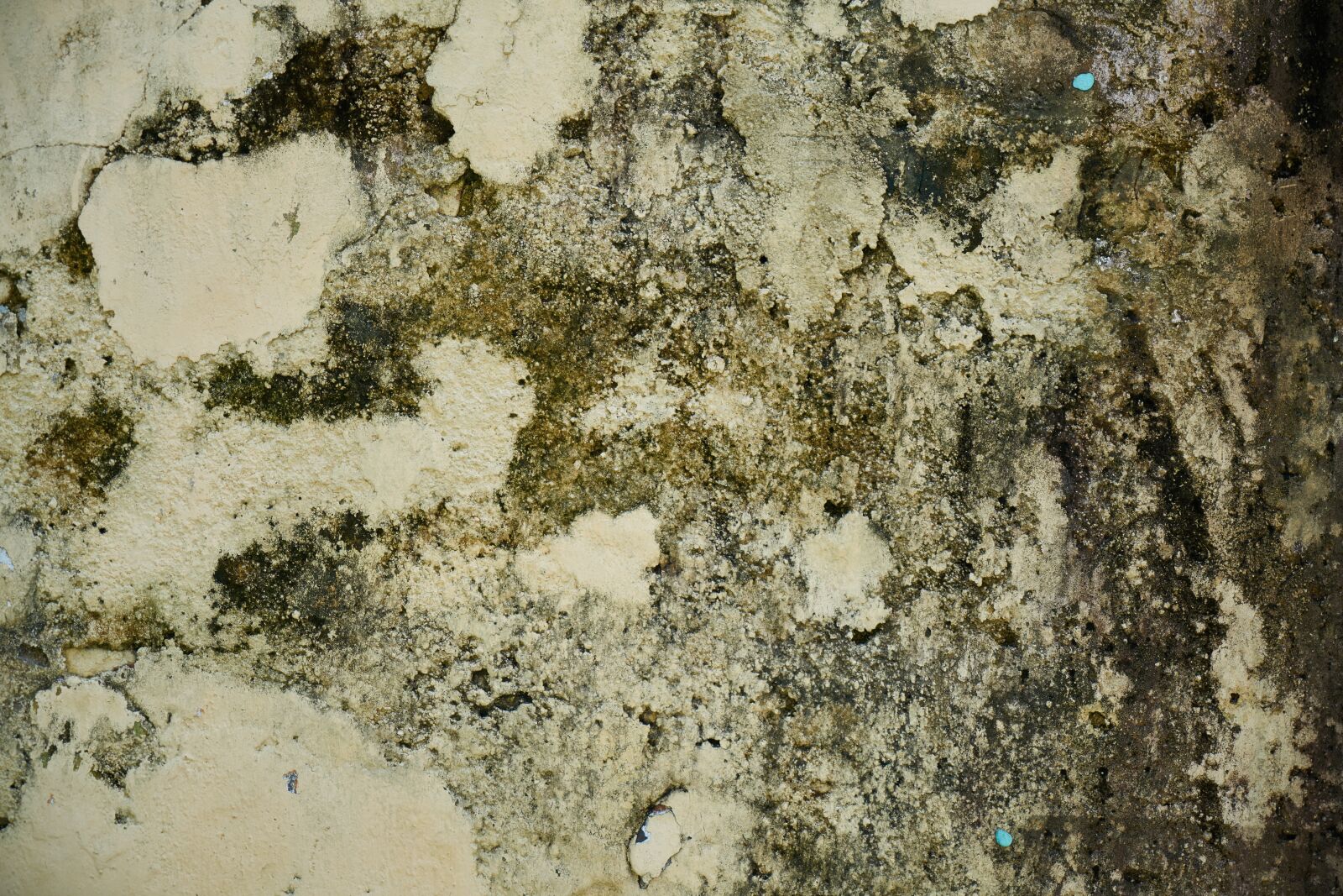 Sony a7R II sample photo. Wall, texture, old photography