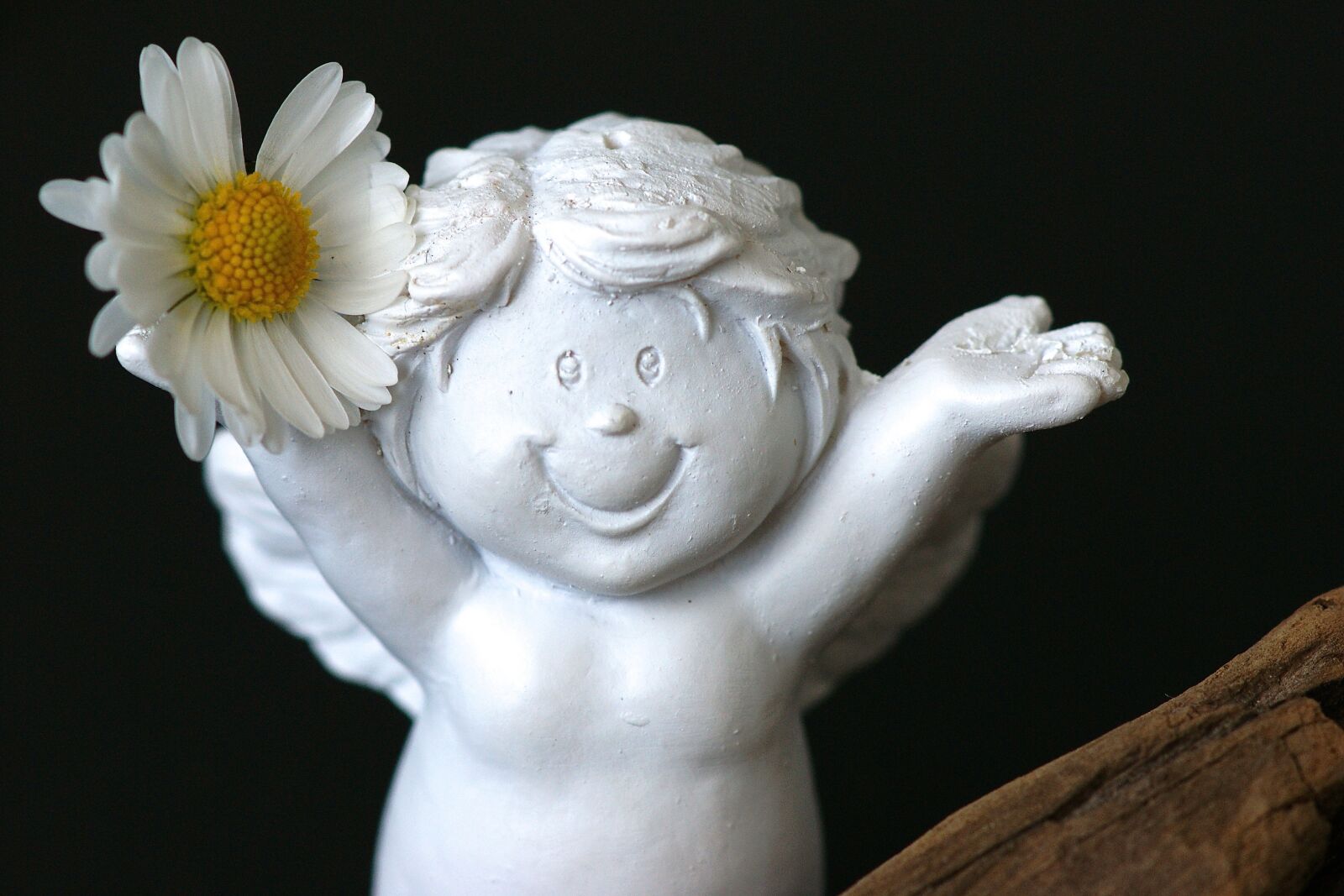 Sony Alpha DSLR-A350 sample photo. Guardian angel, daisy, cheerful photography