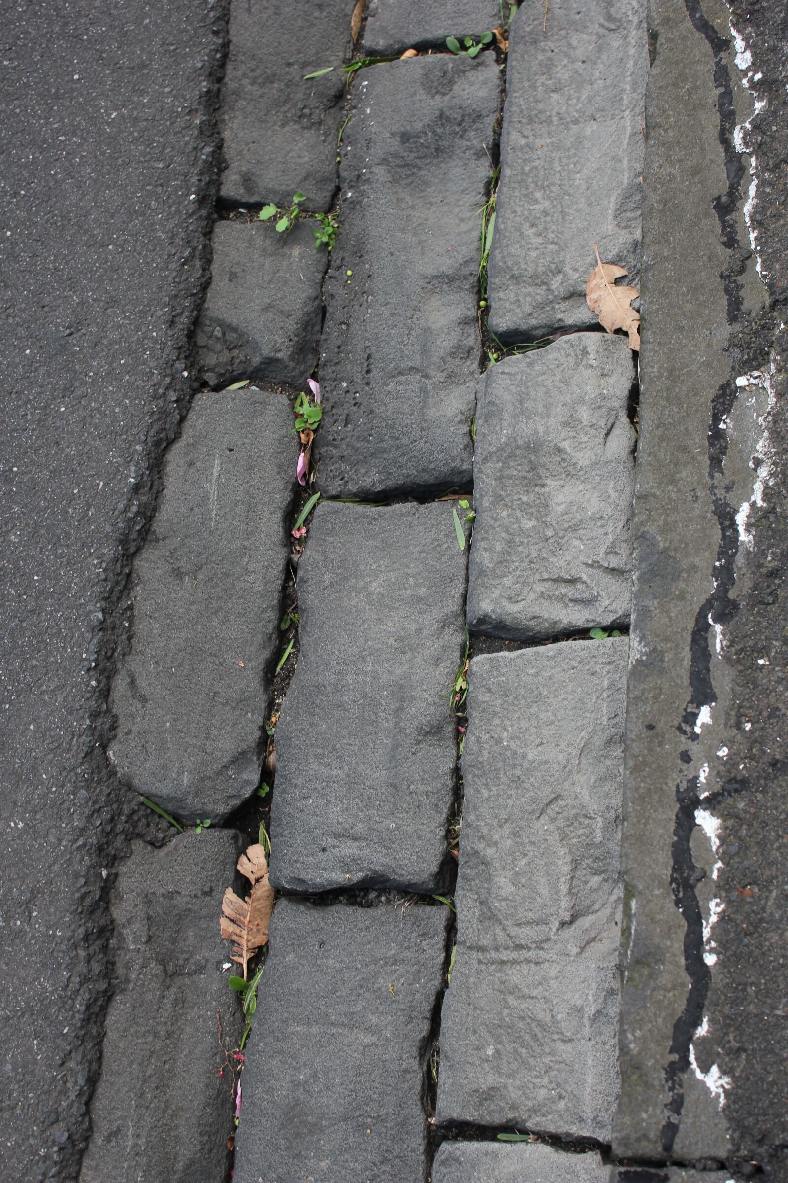 Canon EOS 550D (EOS Rebel T2i / EOS Kiss X4) sample photo. Pavement, stone, floor photography