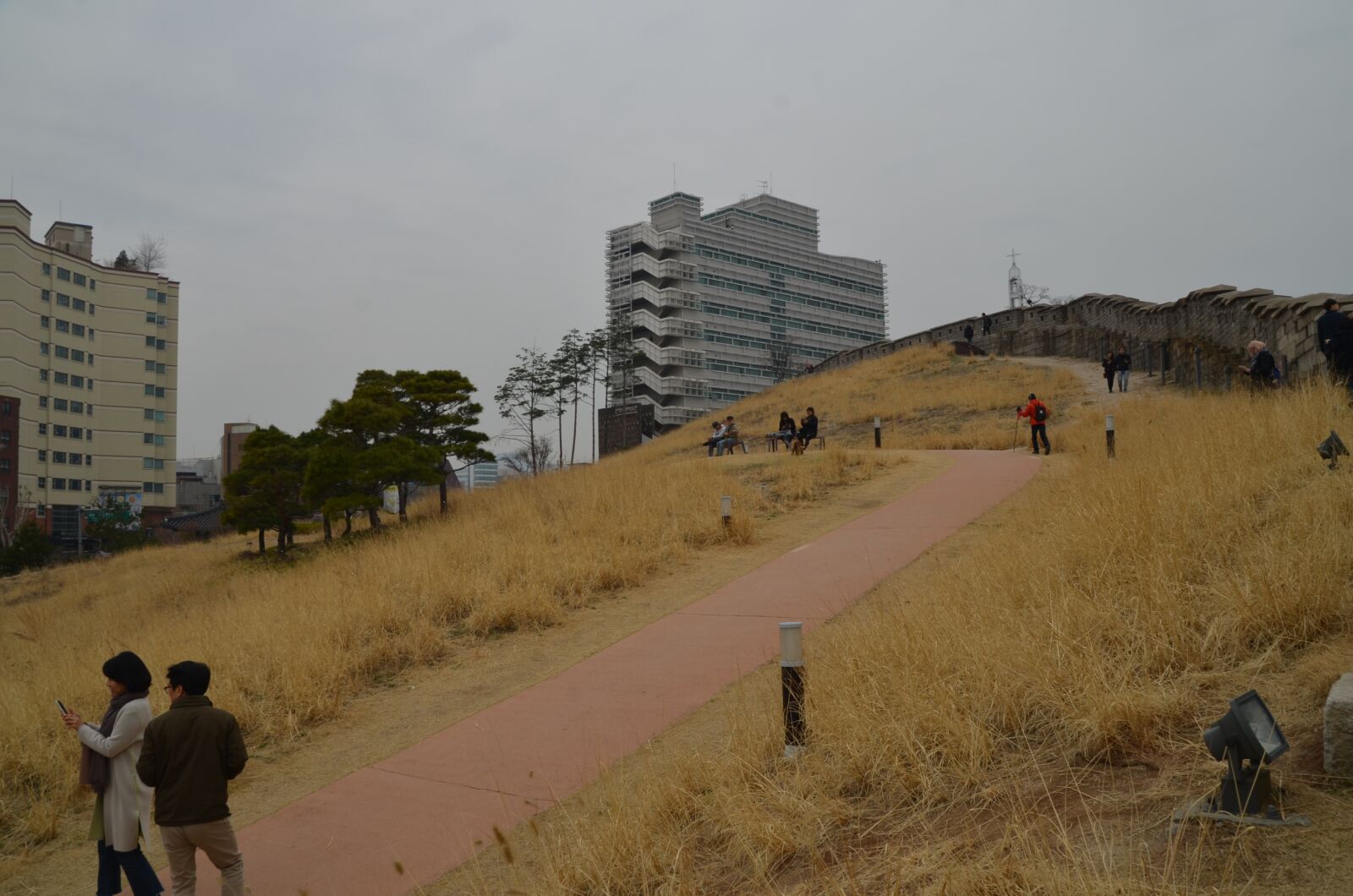 Nikon D7000 sample photo. Korea, seoul, namsan photography