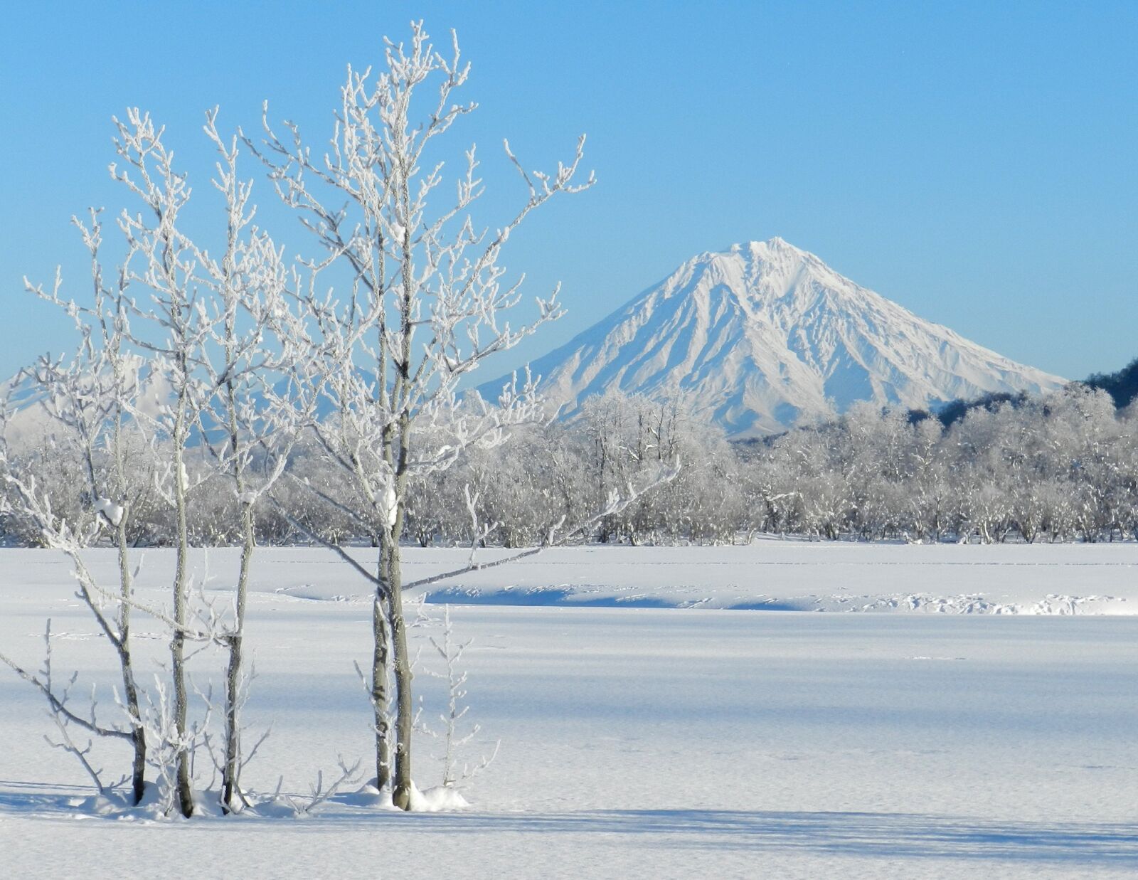 Nikon Coolpix P500 sample photo. Koryaksky volcano, kamchatka, winter photography