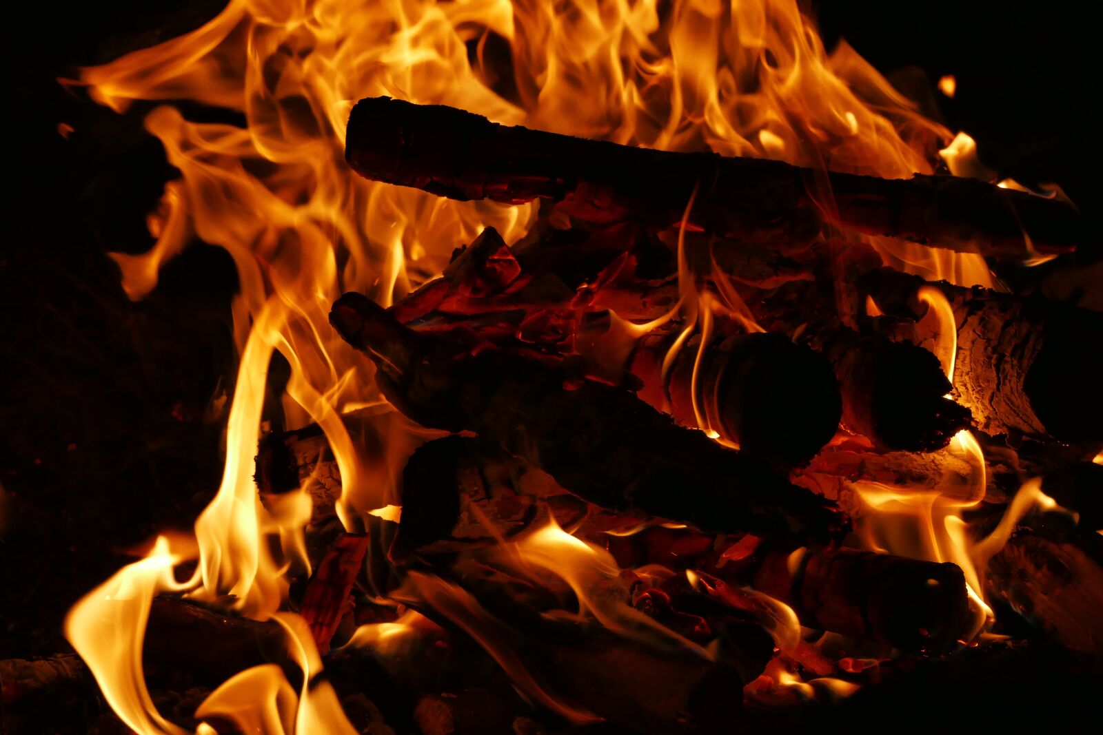Panasonic Lumix DMC-FZ1000 sample photo. Fire, the flames, bonfire photography