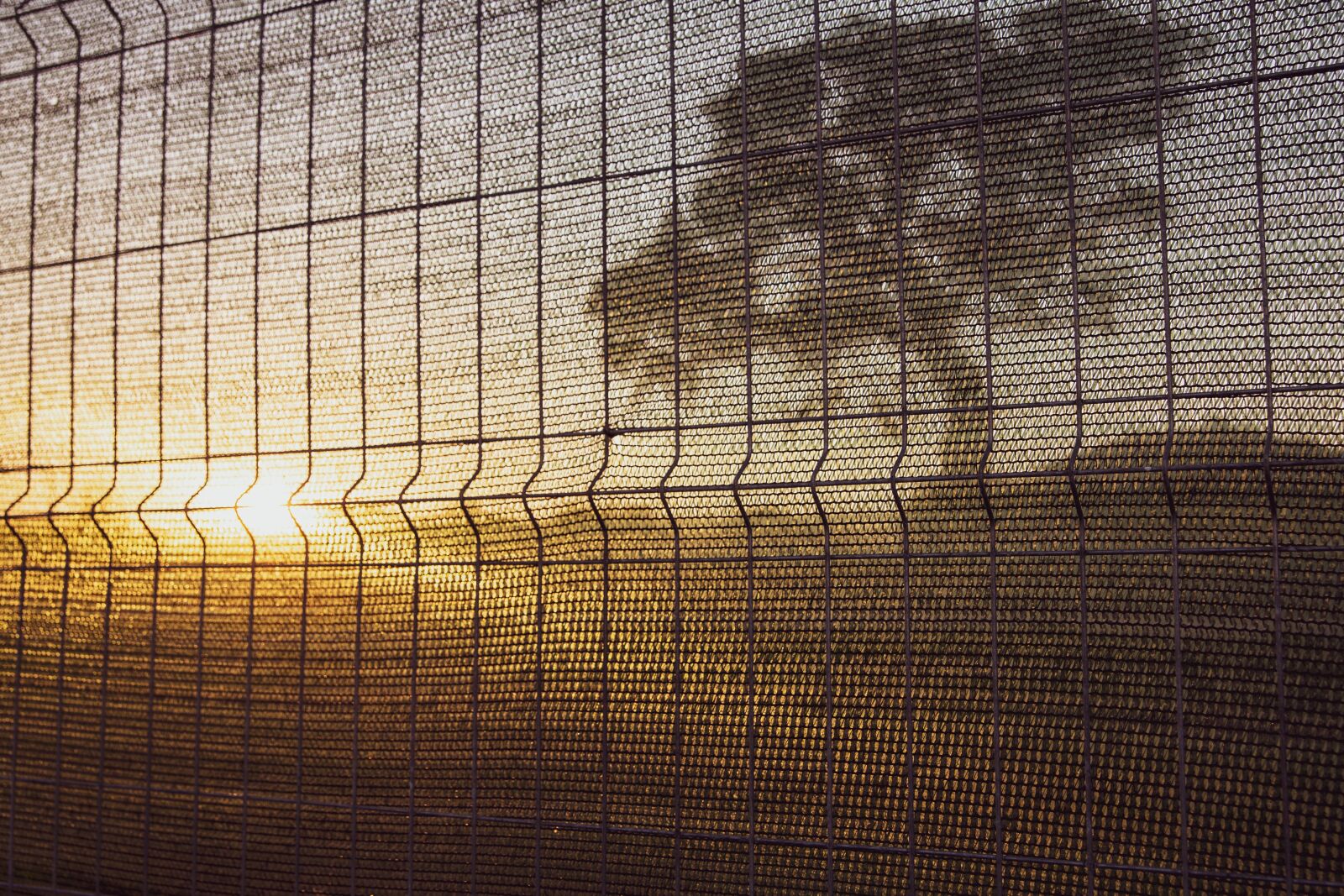 Canon EOS 6D sample photo. Sunset, tree, fence photography