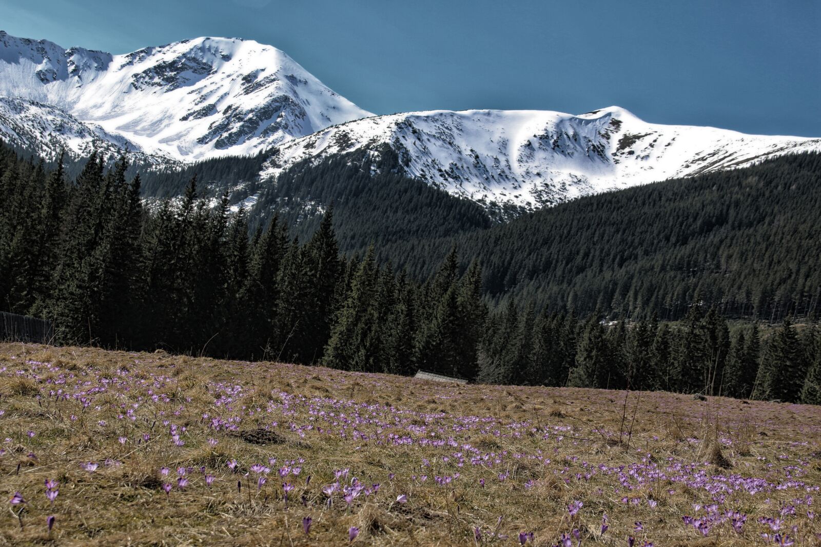 Canon EOS 70D sample photo. Tatry, chocho owska valley photography