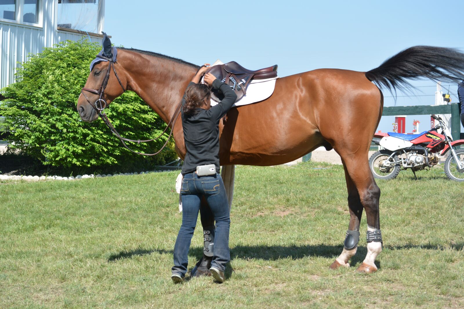 Nikon D5200 sample photo. Horse, rider, equestrian photography