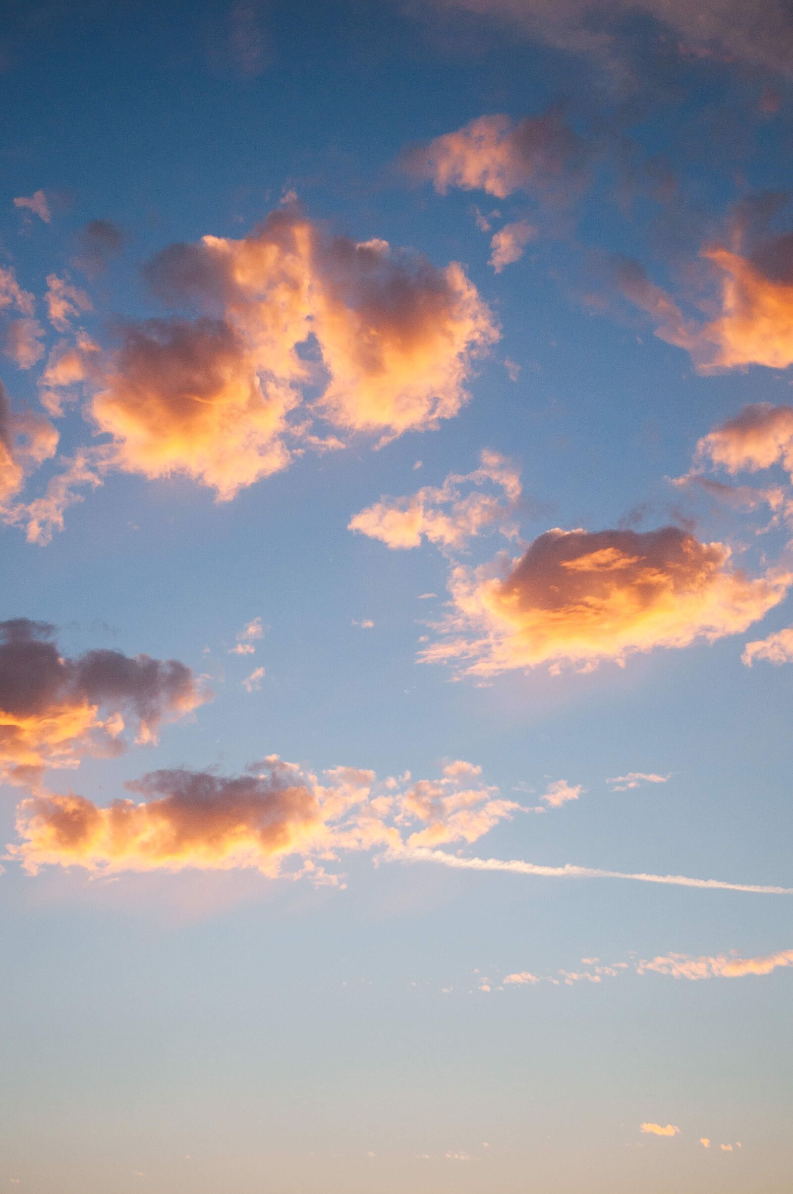 Nikon D5000 sample photo. Nature, sky, clouds photography