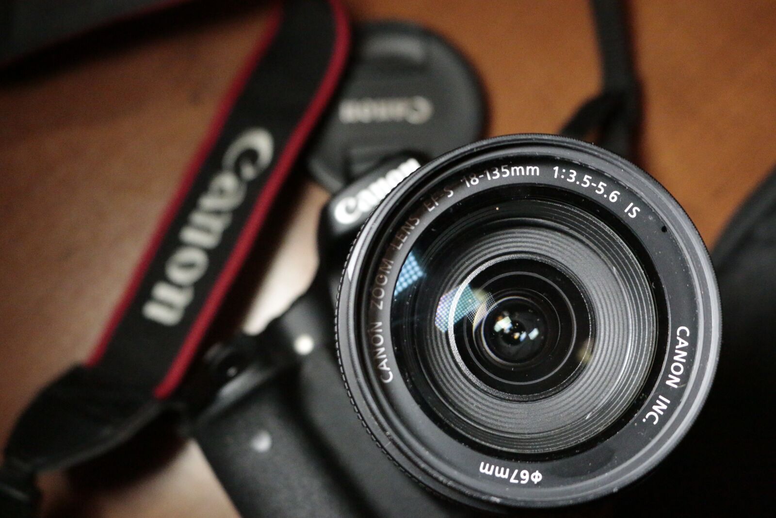 Canon EOS 70D sample photo. Camera, canon, reflex photography