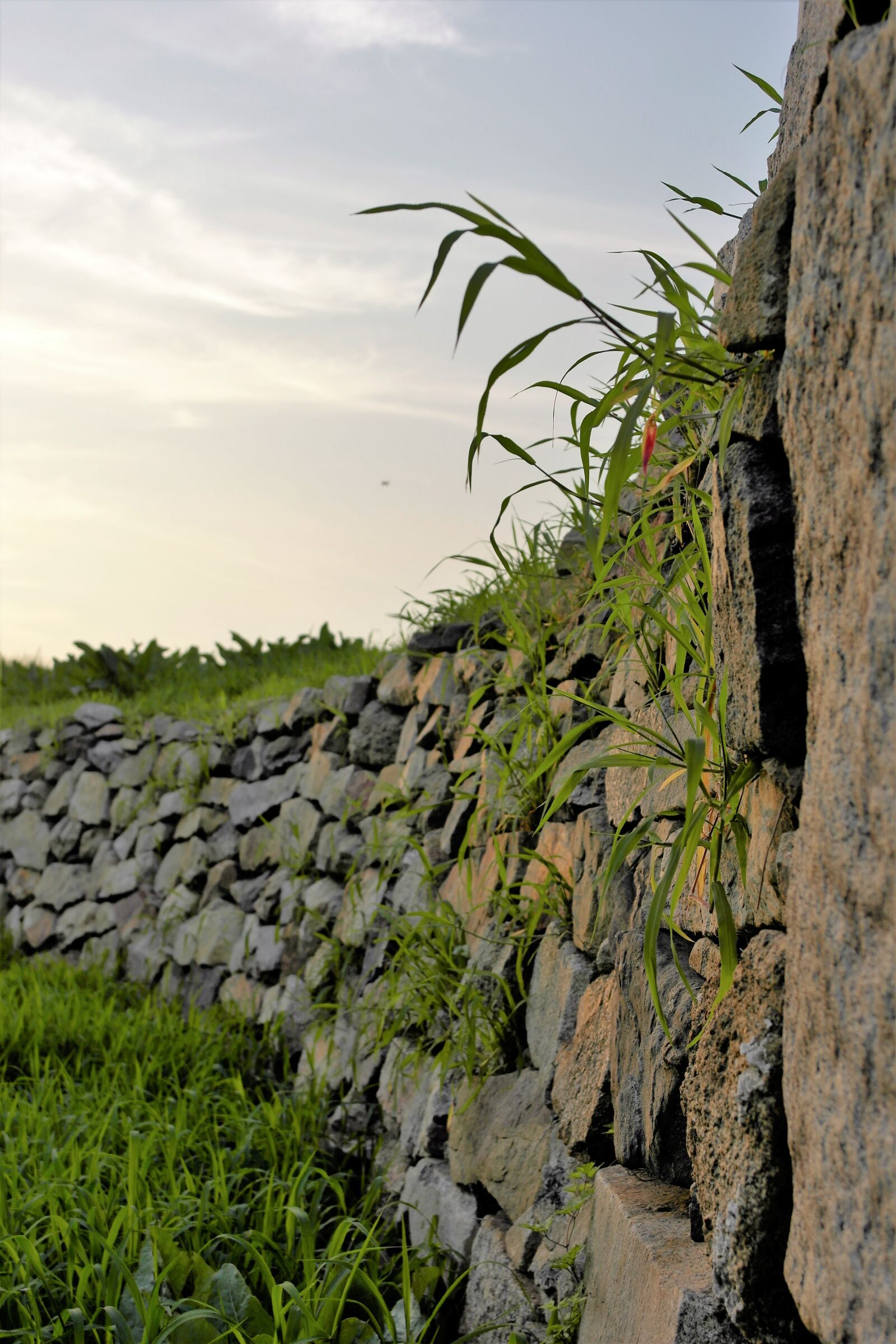 Samsung NX1000 sample photo. West sea, ganghwado, sunset photography