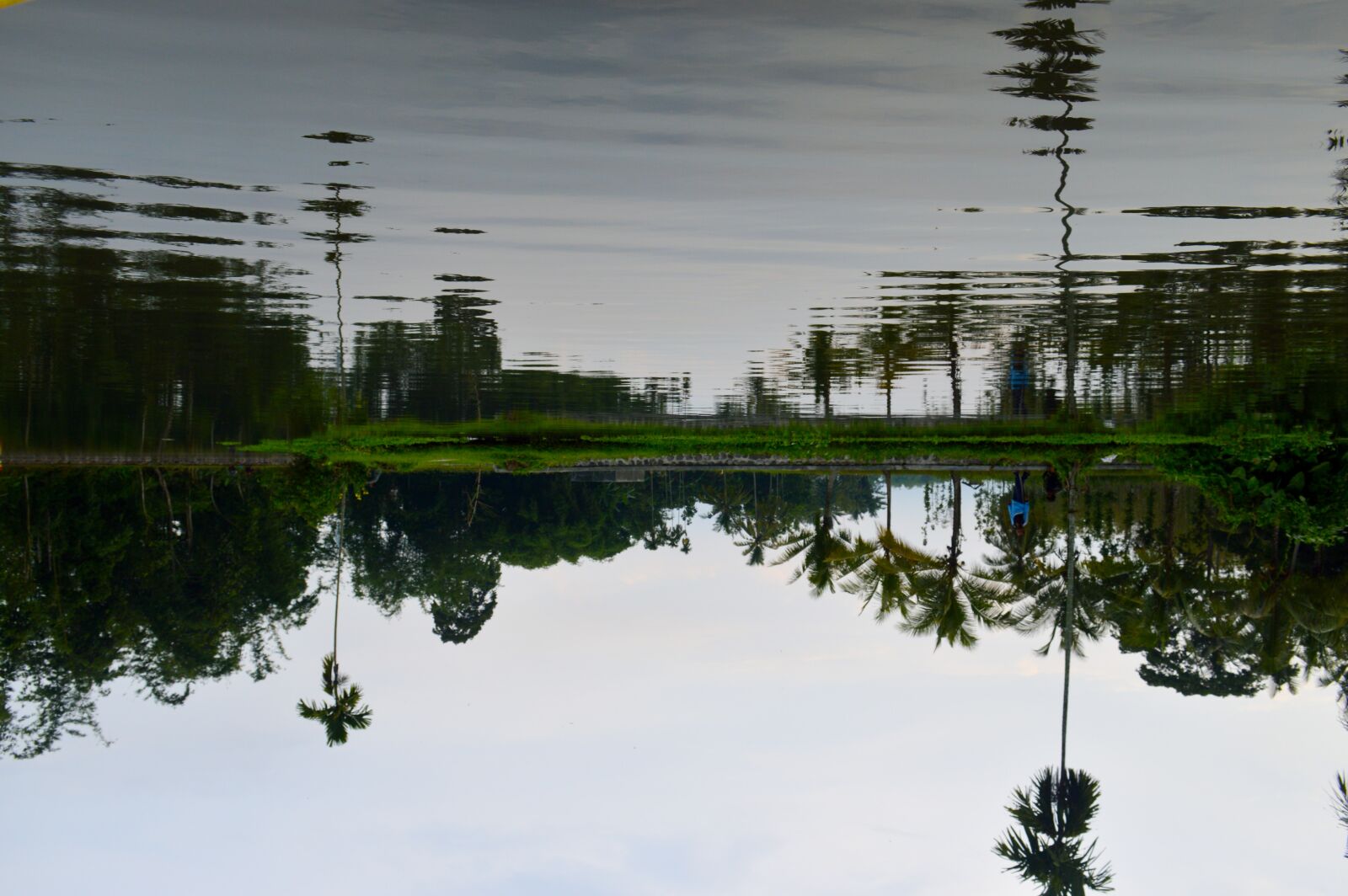 Nikon D3200 sample photo. Water, reflection, nature photography