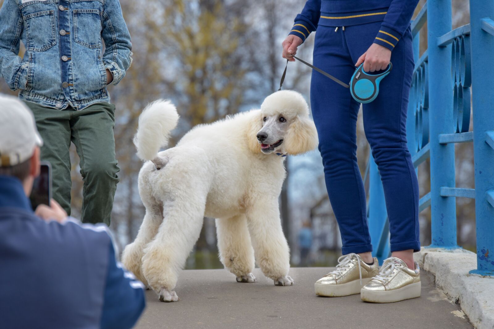 Nikon D3400 sample photo. Dog, model, fashion photography