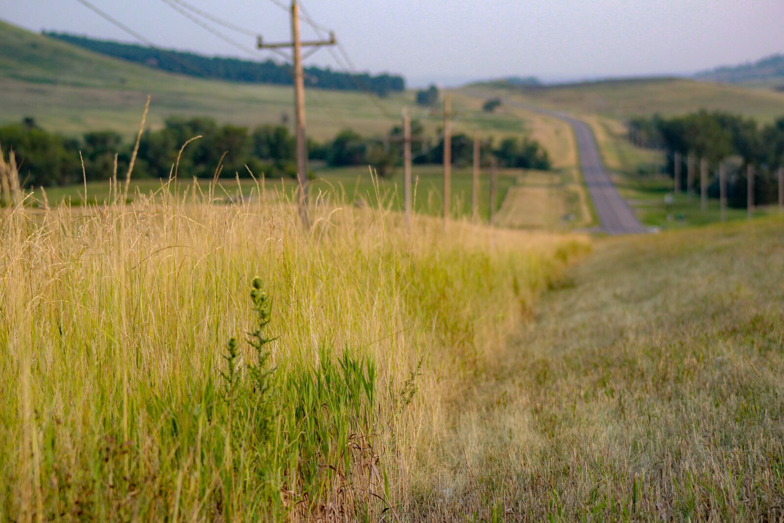 Canon EOS 1300D (EOS Rebel T6 / EOS Kiss X80) sample photo. Road, hill, landscape photography