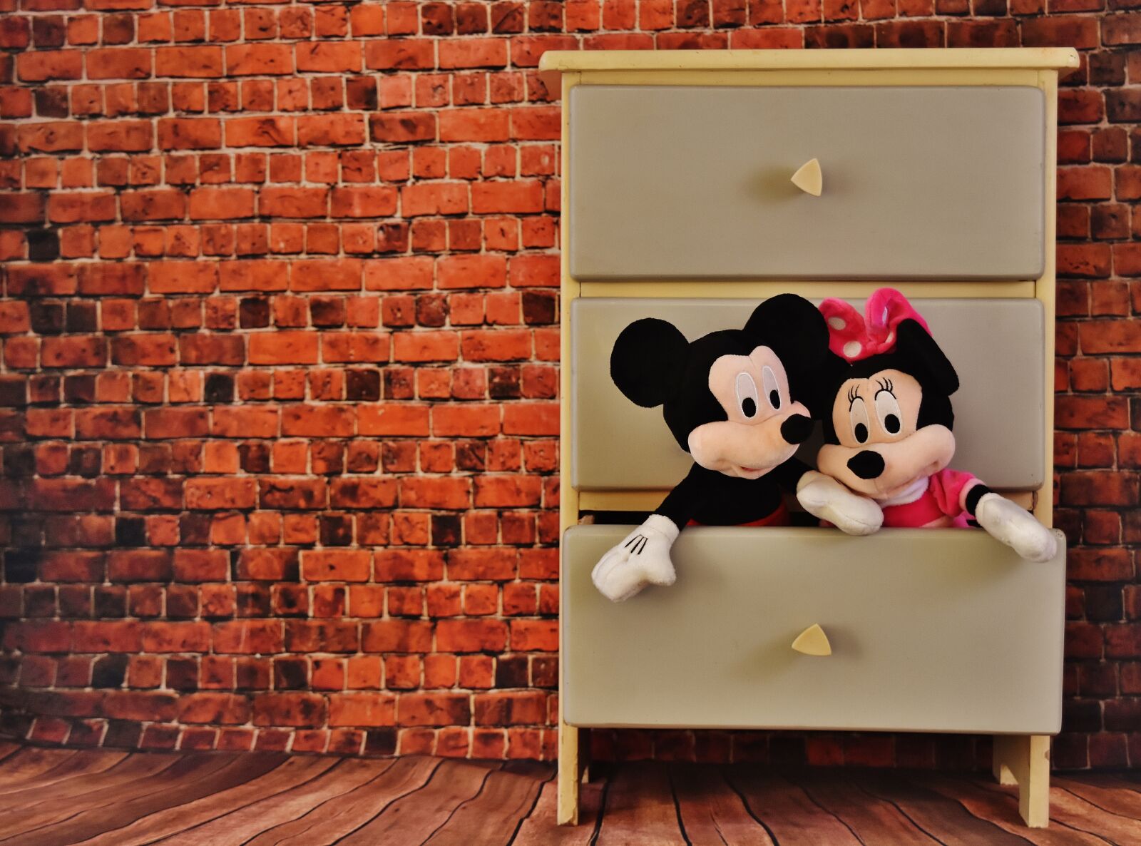 Nikon D7200 sample photo. Micky mouse, minnie, chest photography