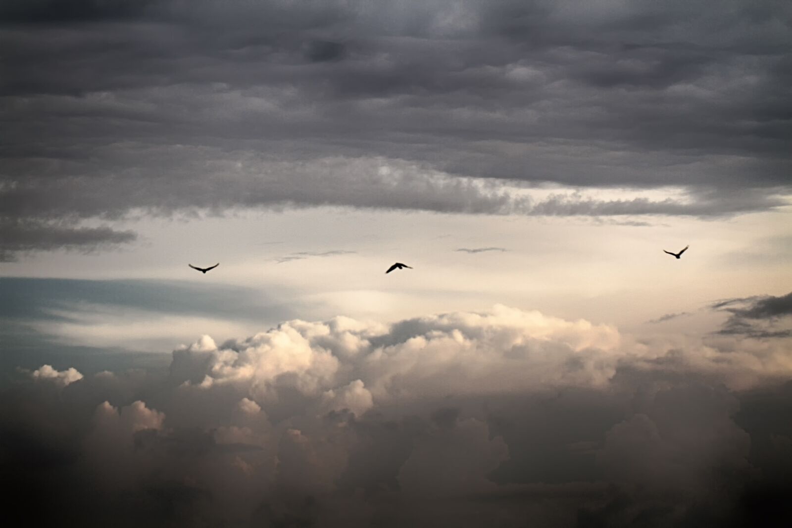 Canon EOS 7D sample photo. Sky, bird, clouds photography