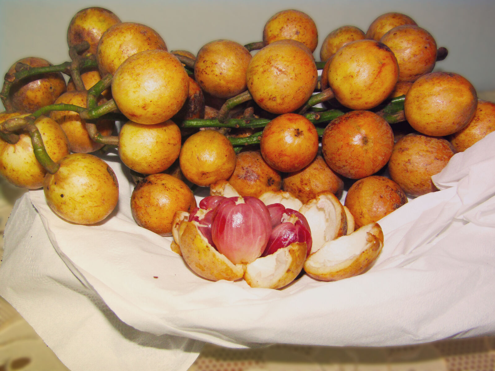 Canon PowerShot SX410 IS sample photo. Fruits, orange photography