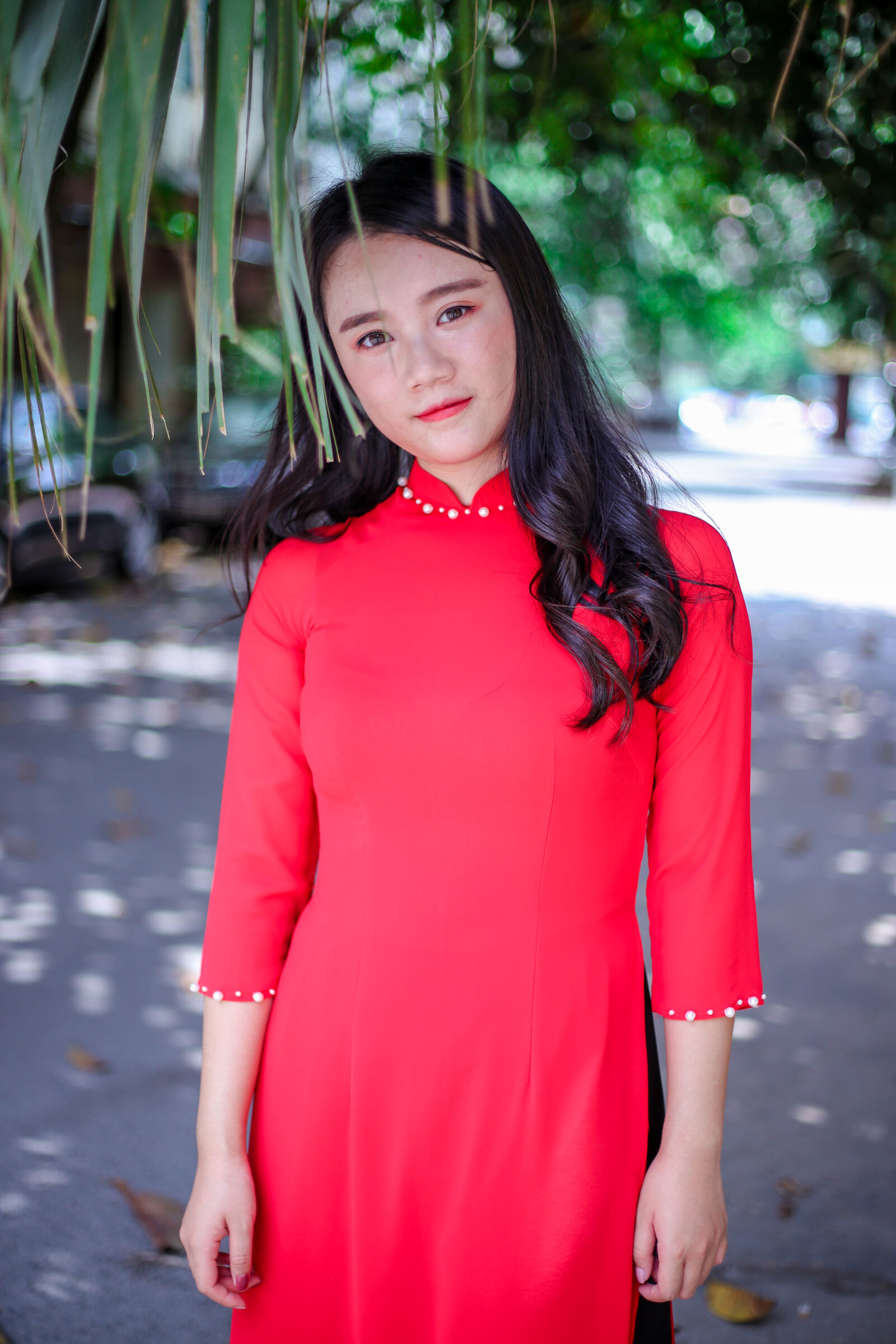 Canon EOS 6D + Canon EF 50mm F1.8 STM sample photo