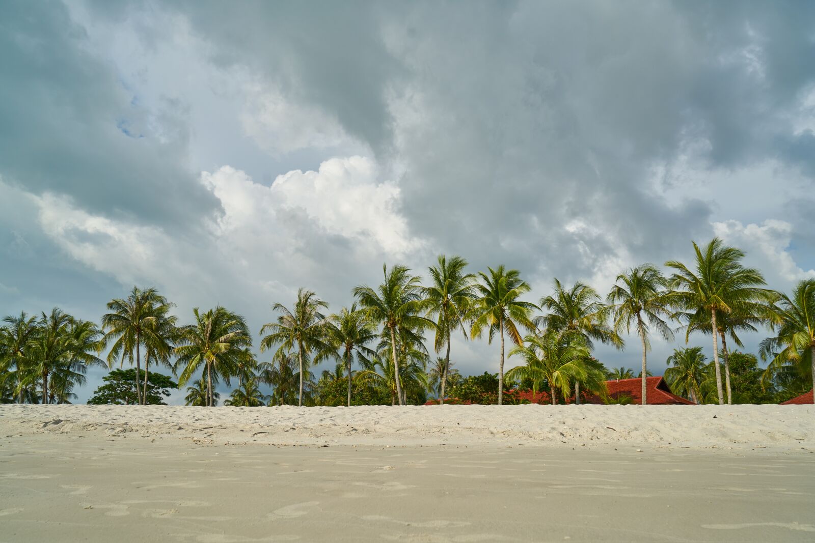 Sony a7R II sample photo. Landscape, beach, sand photography