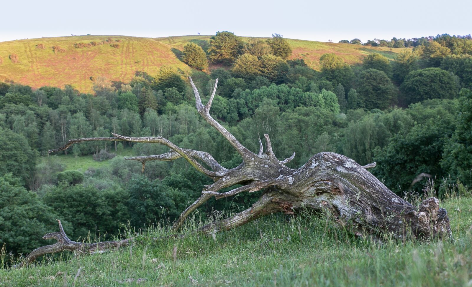 Canon EOS 5D Mark III sample photo. Rod, old, wood photography