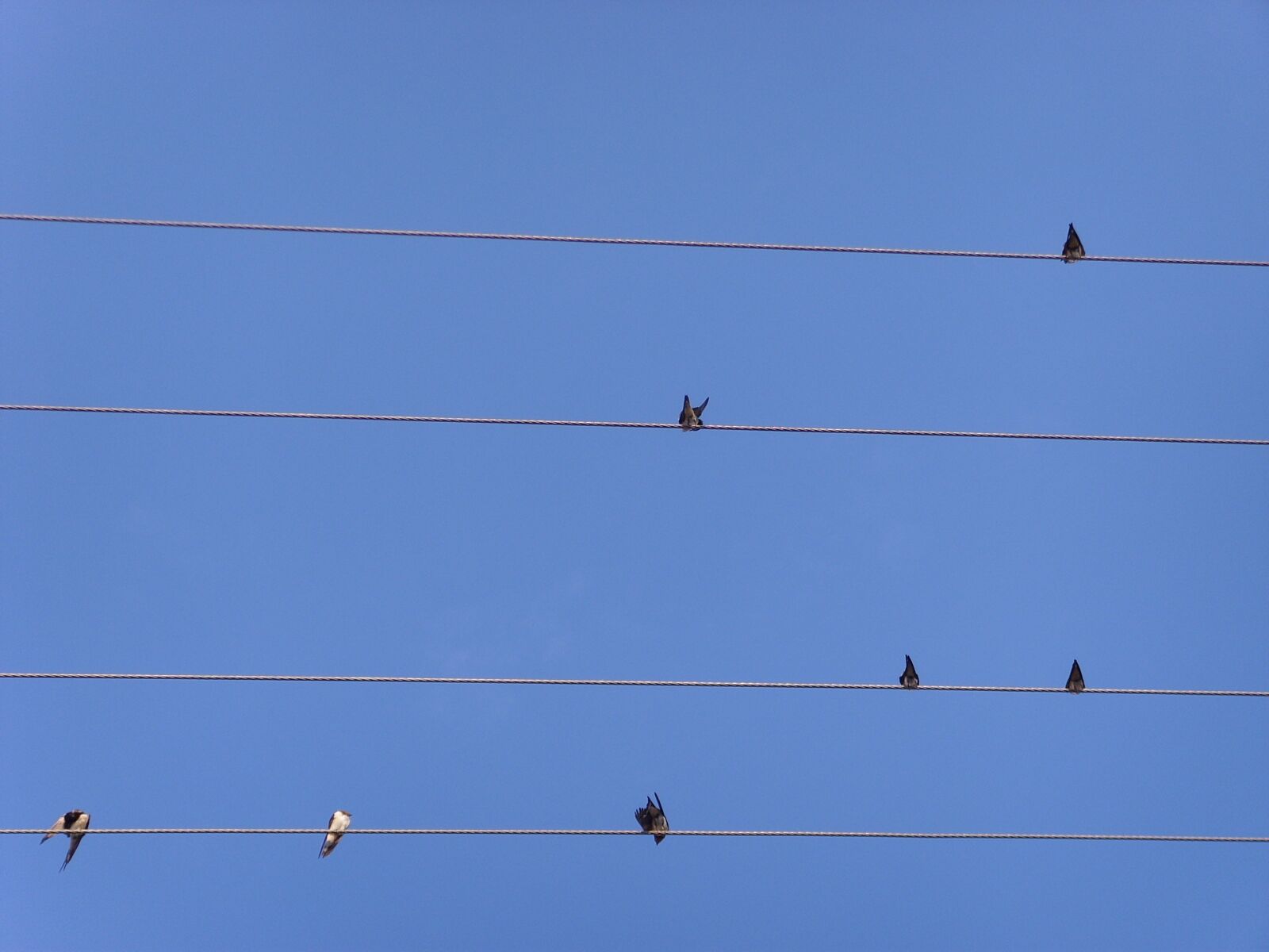 Samsung Digimax i6 PMP, Samsung #11 PMP sample photo. Sky, stave, device photography
