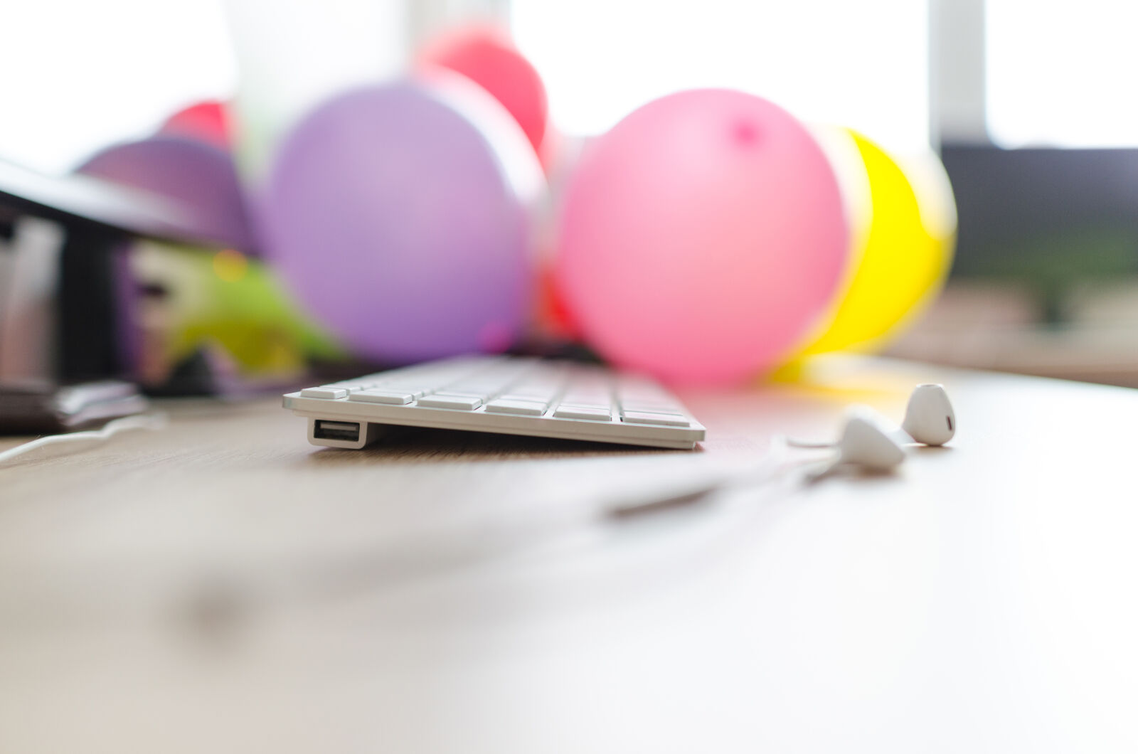 Nikon D5100 sample photo. Above, background, blank, business photography