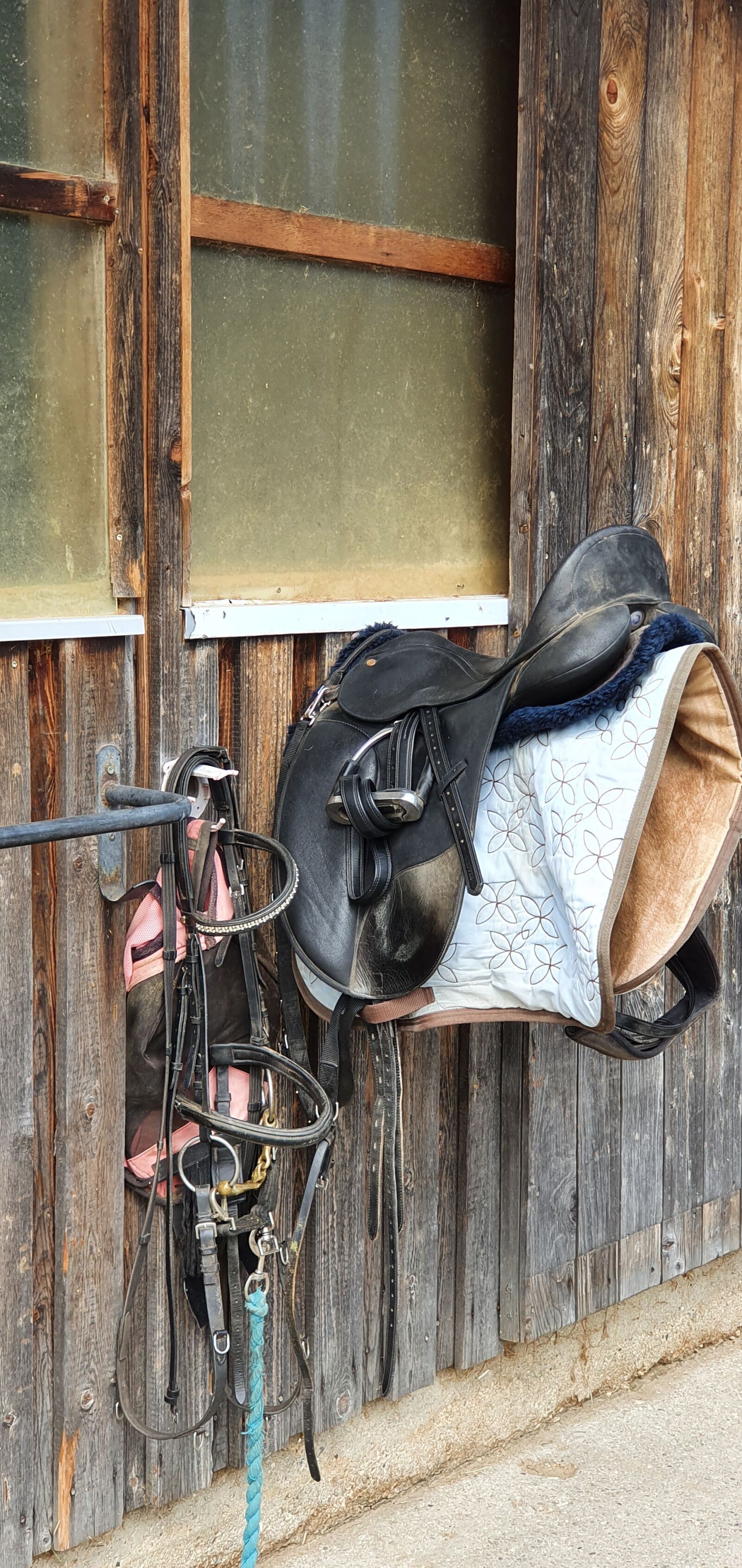 Samsung Galaxy S10+ sample photo. Ride, reiterhof, saddle photography