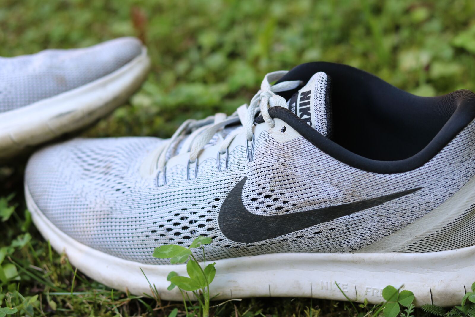 Canon EOS 750D (EOS Rebel T6i / EOS Kiss X8i) sample photo. Nike, shoes, sport photography