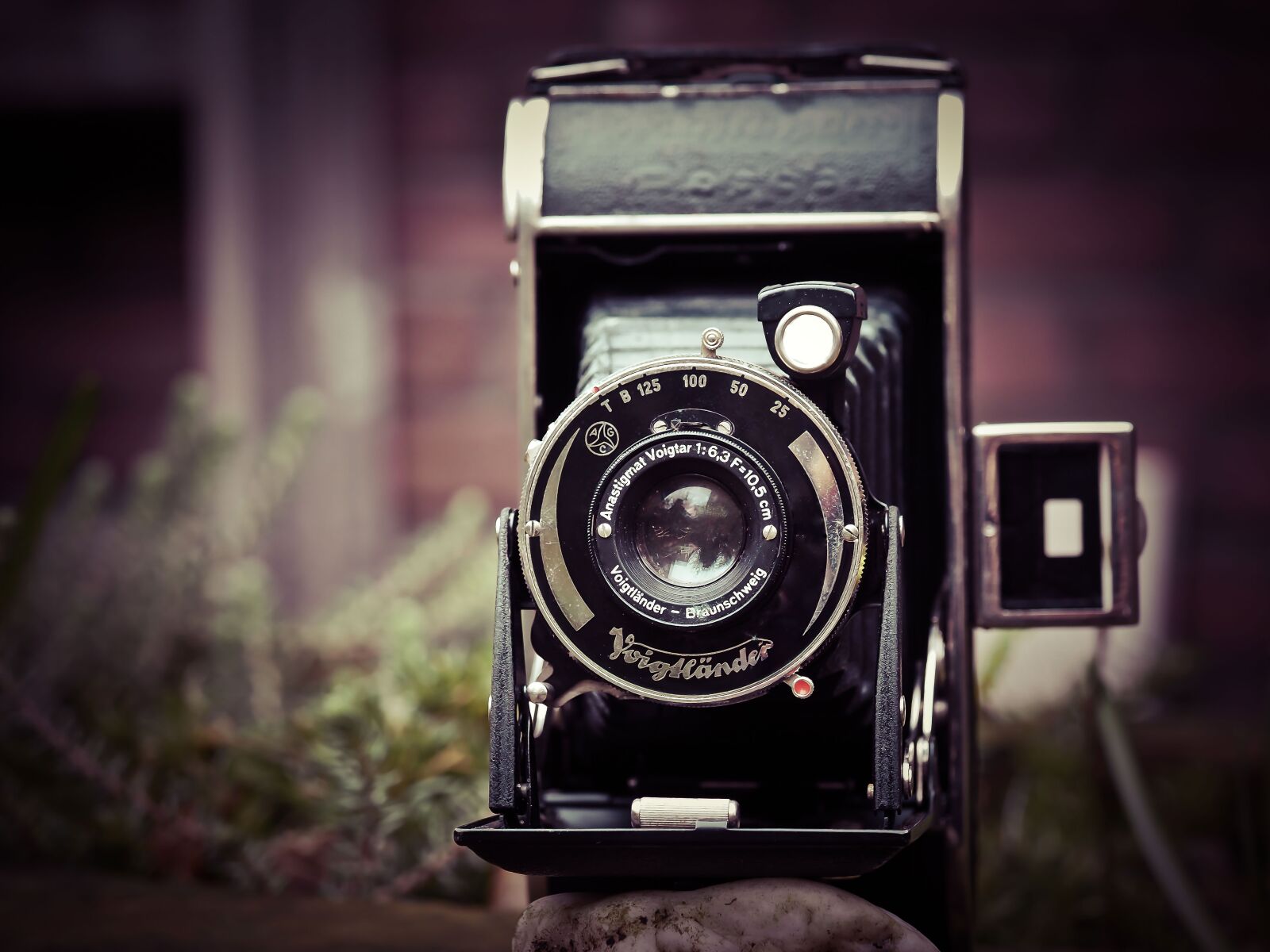 Olympus OM-D E-M10 sample photo. Photo camera, camera, voigtlander photography