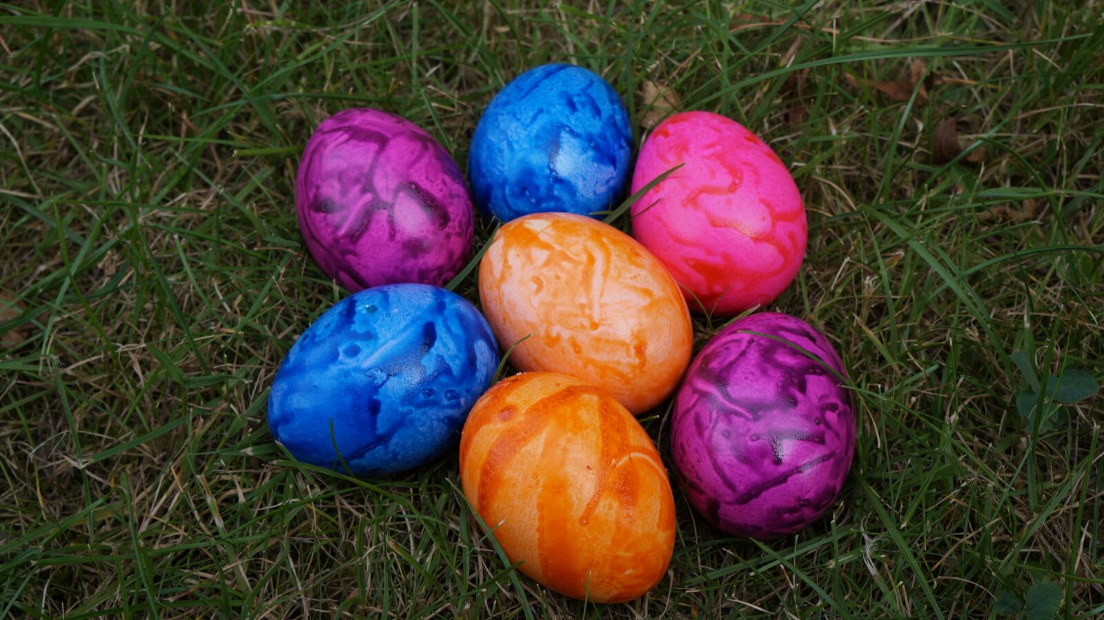 Sony Alpha a3000 sample photo. Egg, colorful, easter photography