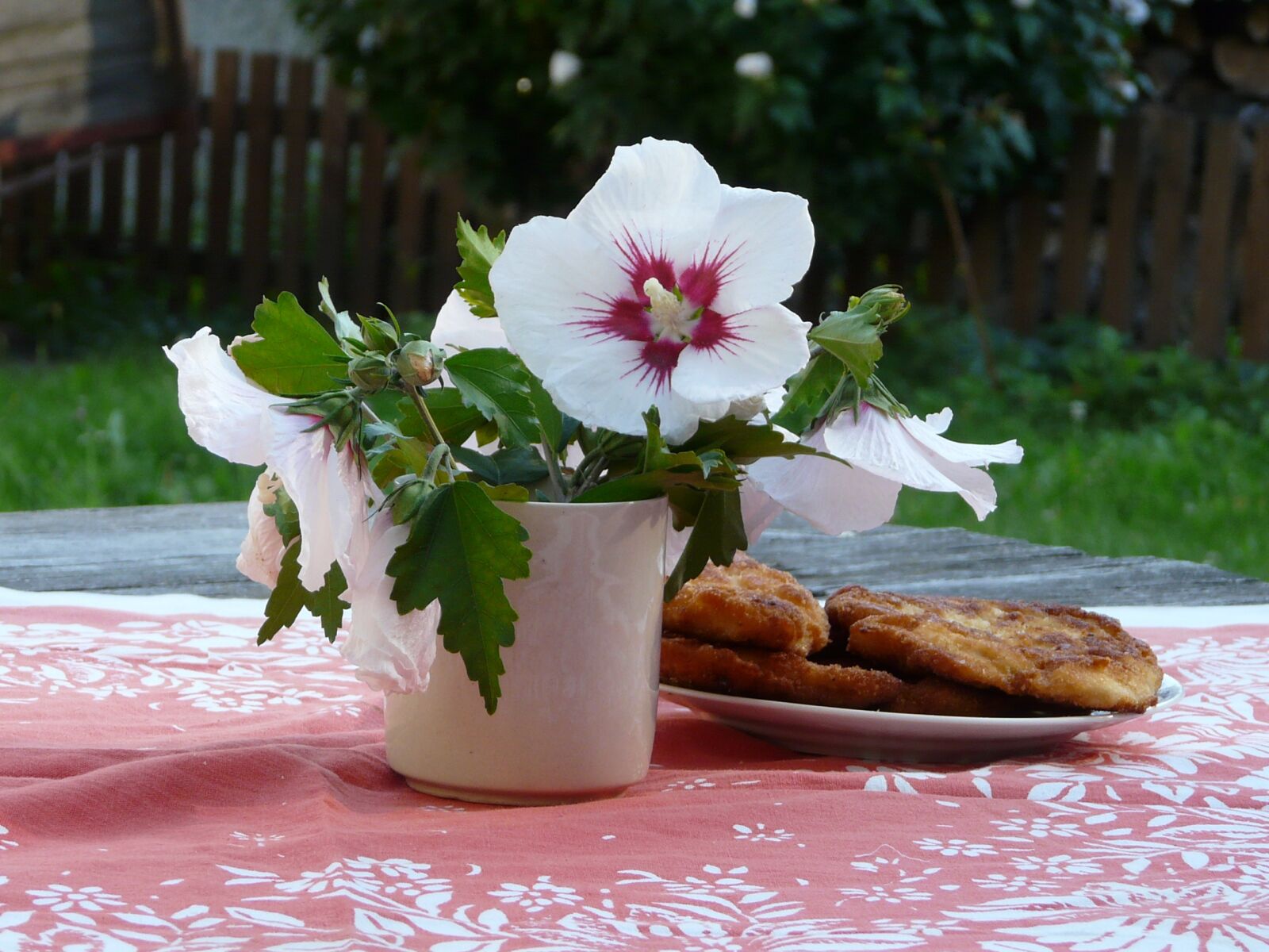 Panasonic DMC-FZ18 sample photo. Summer, countryside, lunch photography