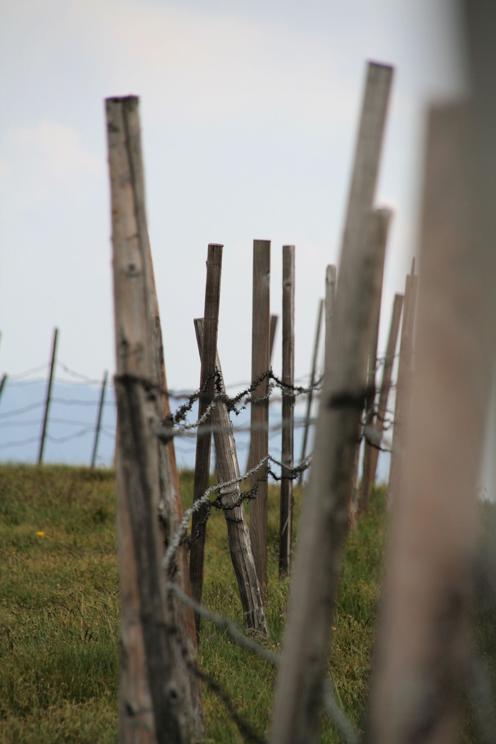 Canon EOS 350D (EOS Digital Rebel XT / EOS Kiss Digital N) sample photo. Pasture, alm, fence photography