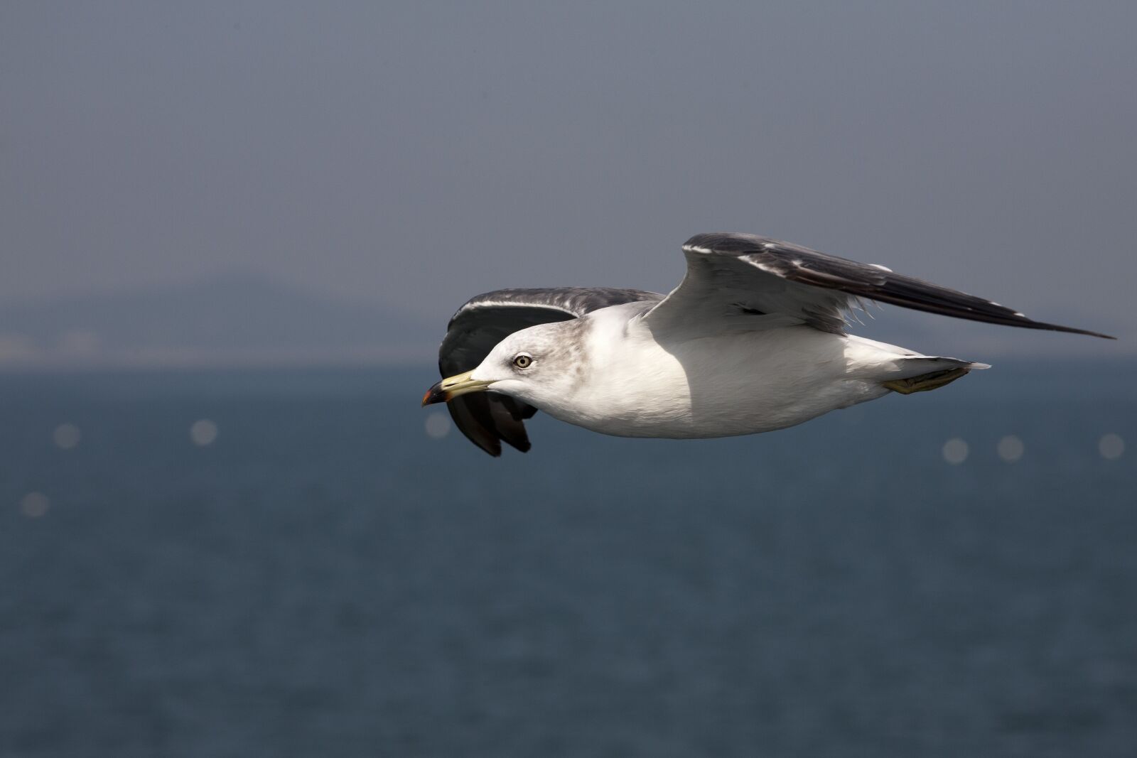 Canon EOS 5D sample photo. New, sea, nature photography