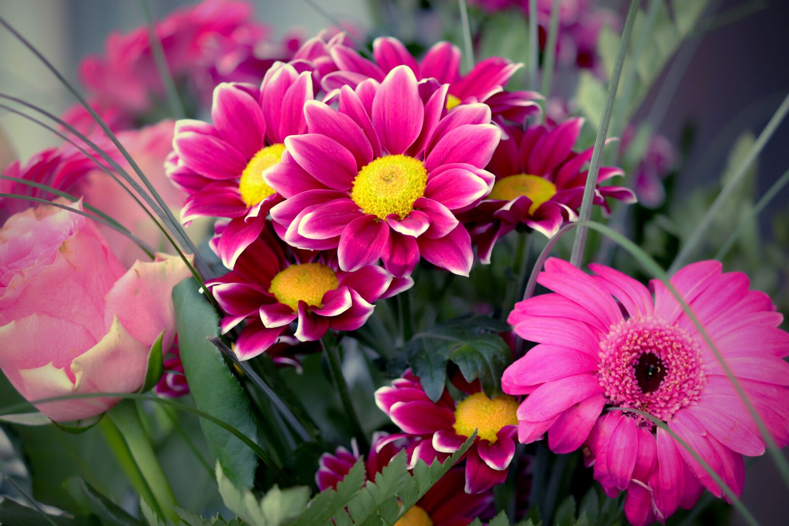 Canon EOS 200D (EOS Rebel SL2 / EOS Kiss X9) sample photo. Bouquet of flowers, gerbera photography