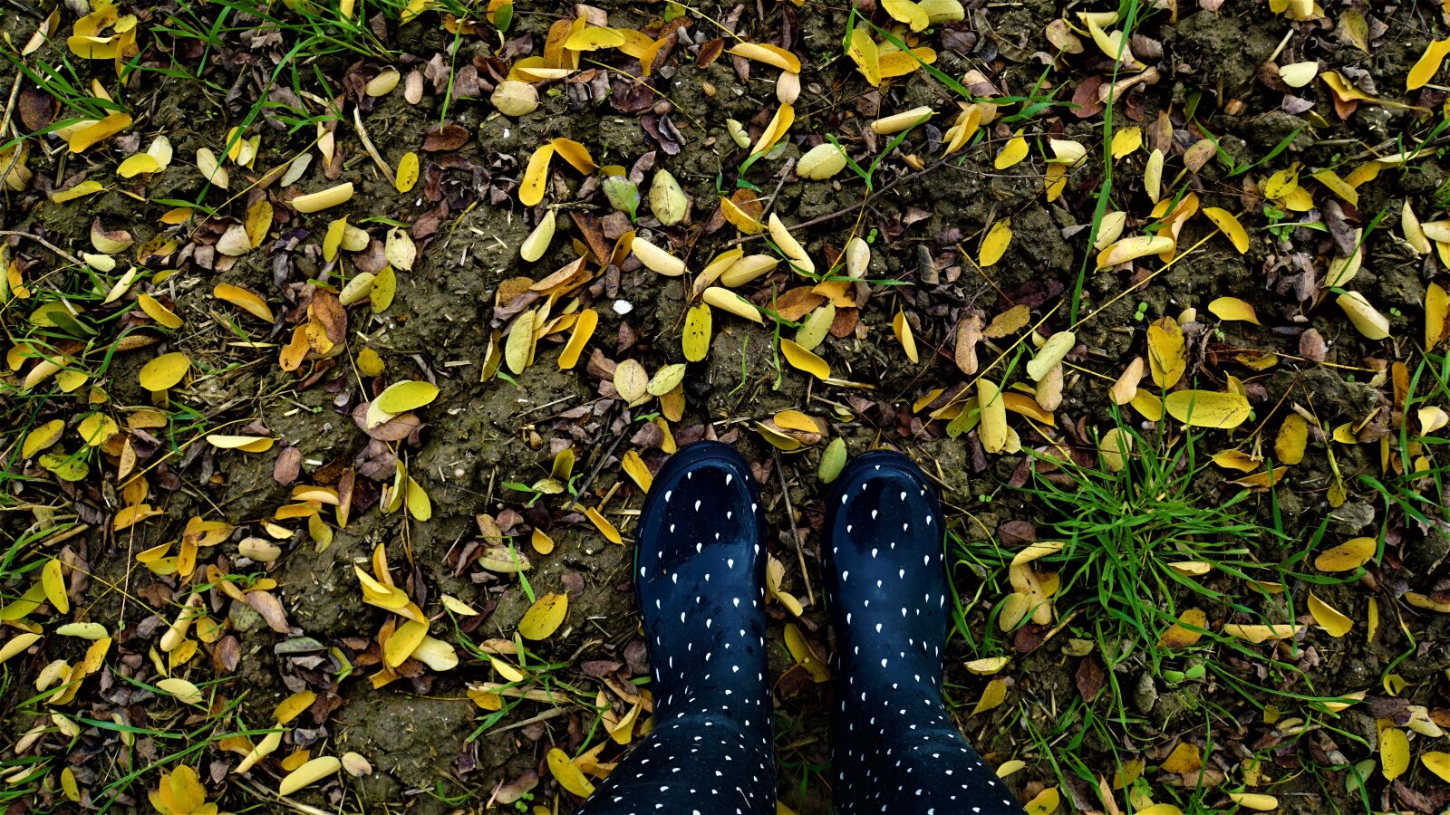 Sony a6000 + Sony E 18-200mm F3.5-6.3 OSS LE sample photo. Background, autumn, rubber boots photography