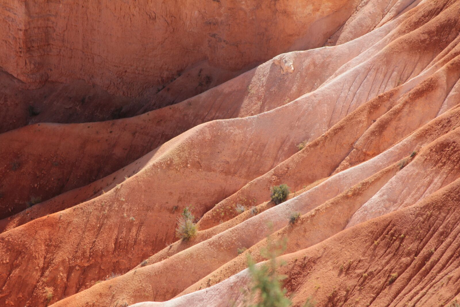 Canon EOS 60D sample photo. Usa, bryce canyon, nature photography