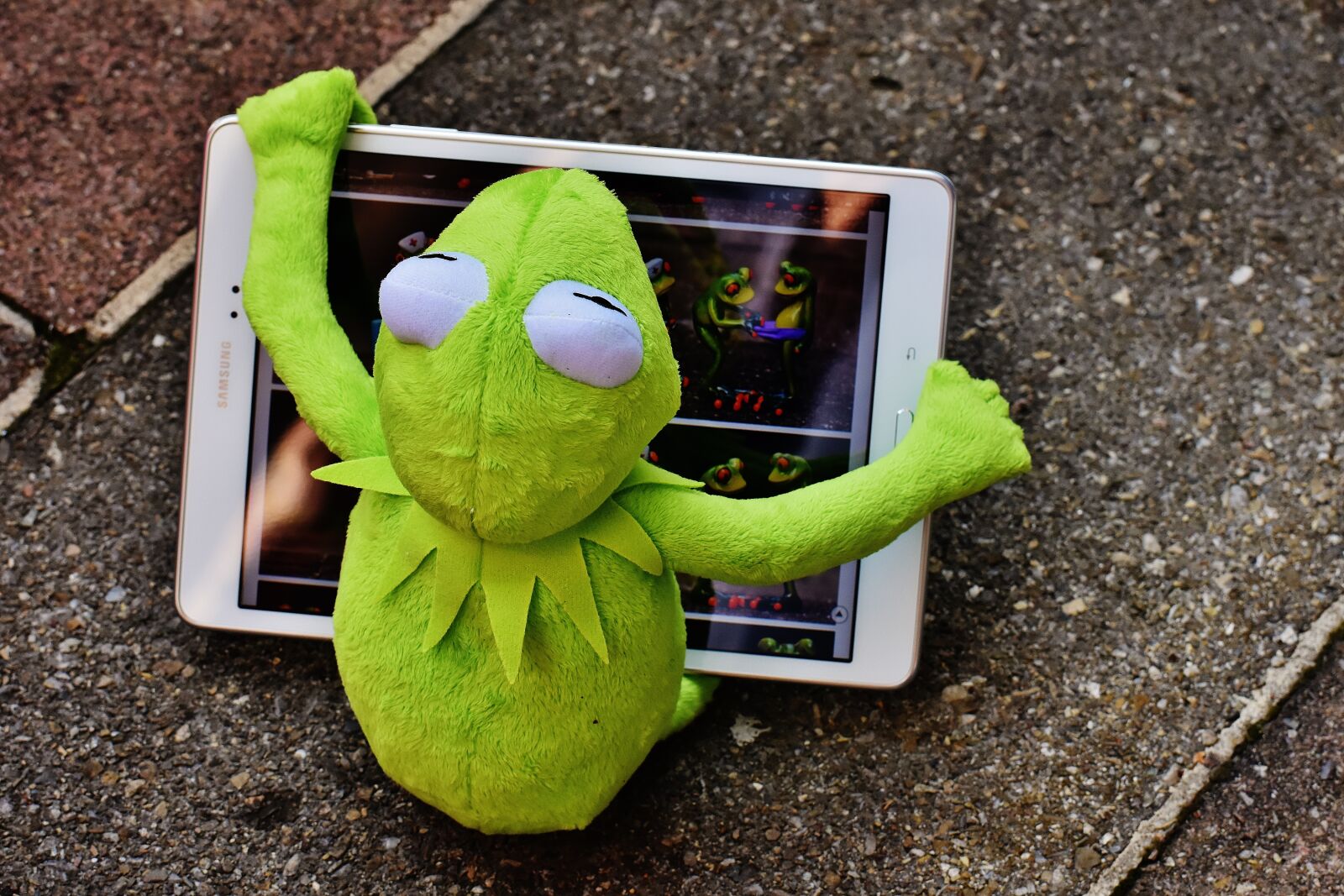 Nikon D7200 sample photo. Kermit, frog, tablet photography