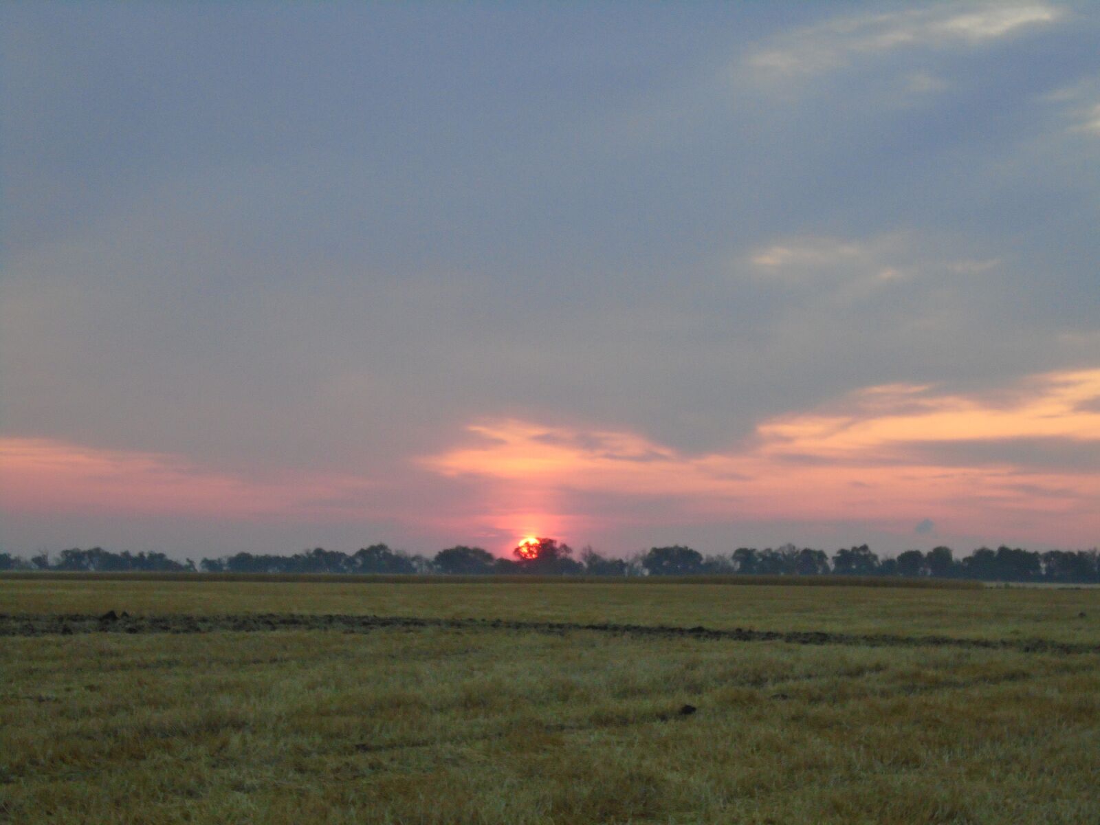 Sony Cyber-shot DSC-W800 sample photo. Sunset, field, sky photography