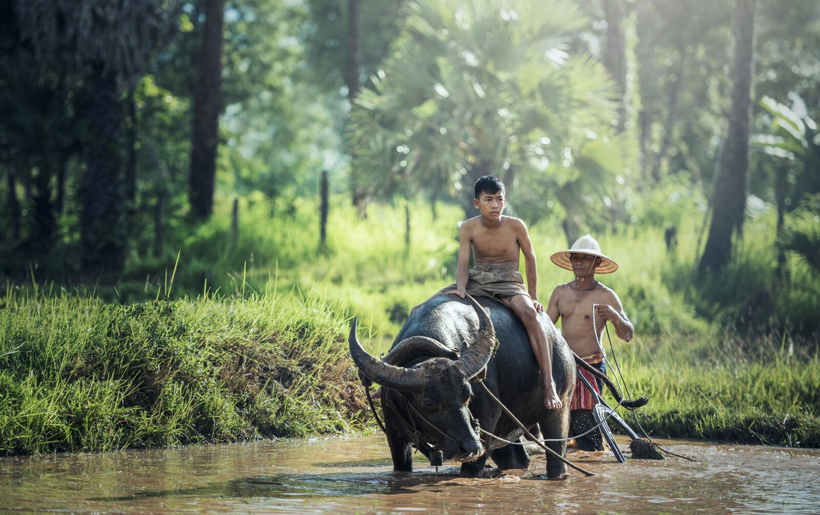 Nikon D810 sample photo. Buffalo, riding, agriculture photography