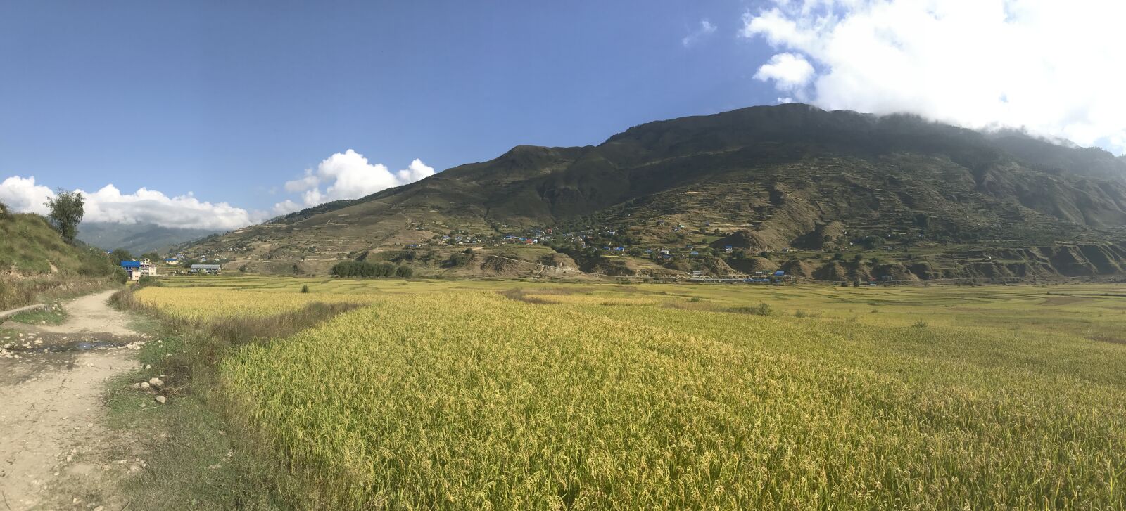 iPhone 7 back camera 3.99mm f/1.8 sample photo. Nature, jumla, nepal photography